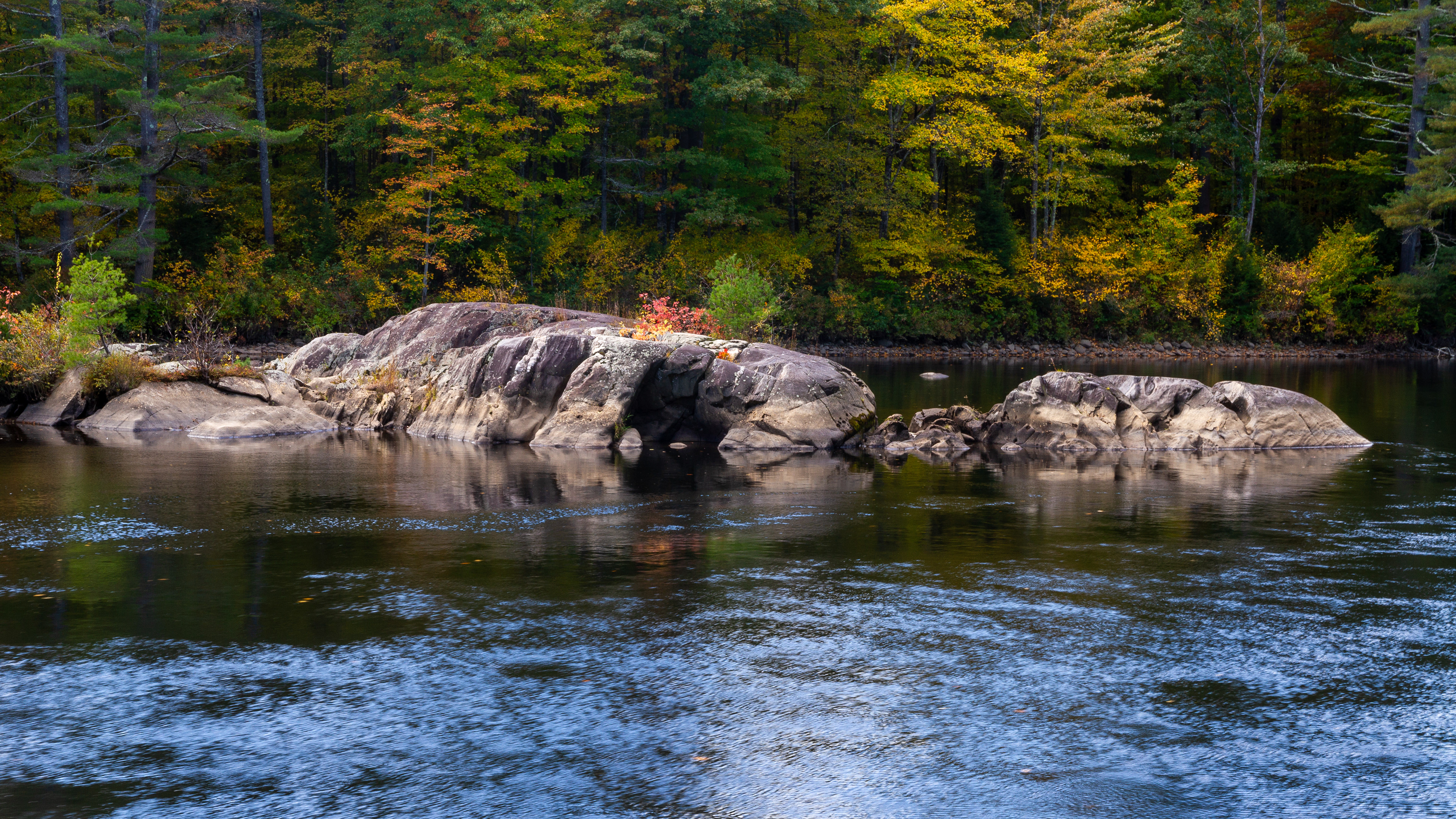 Pemigewassett River from Coolidge Woods No1