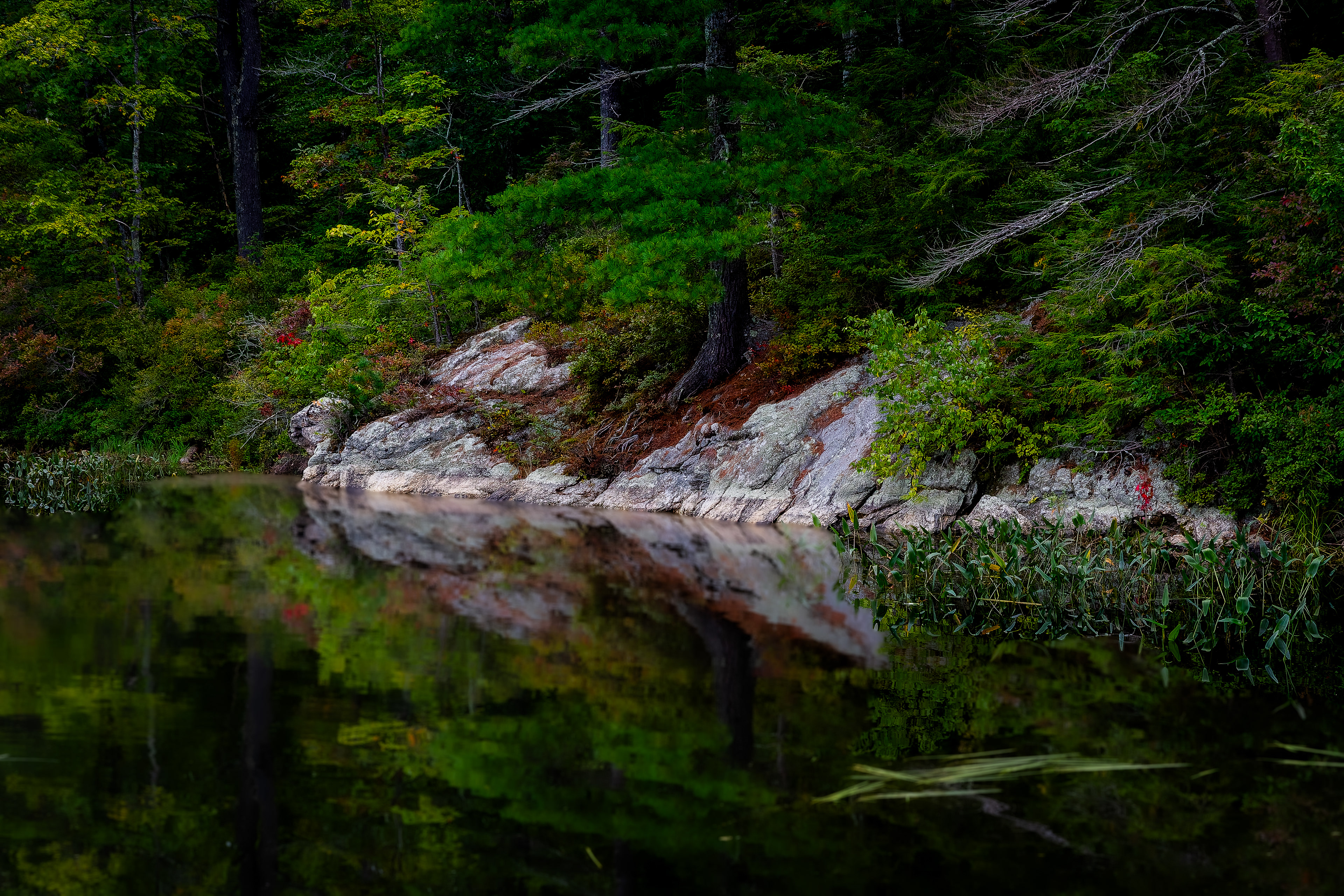 Meetinghouse Pond No13