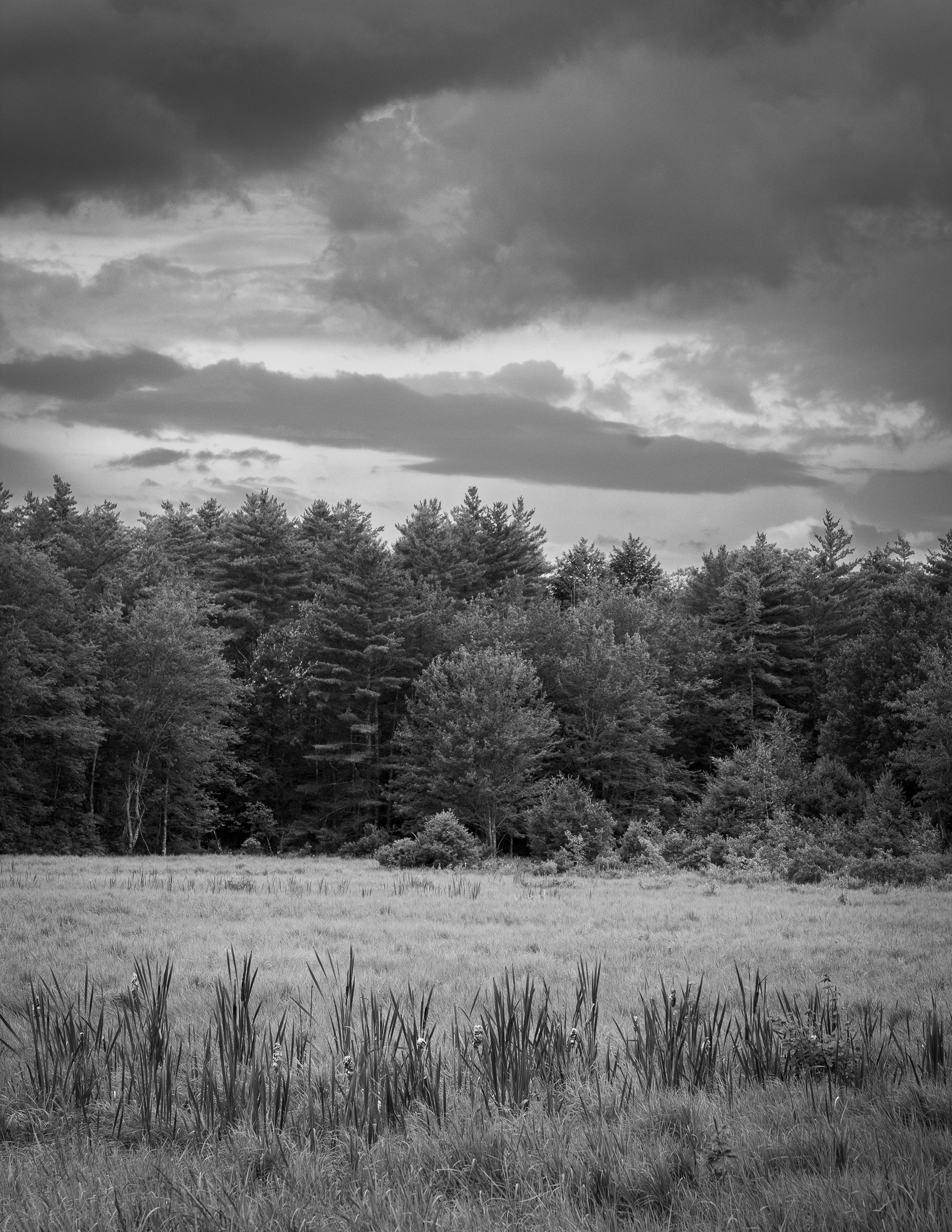 March at Jones Farm No3