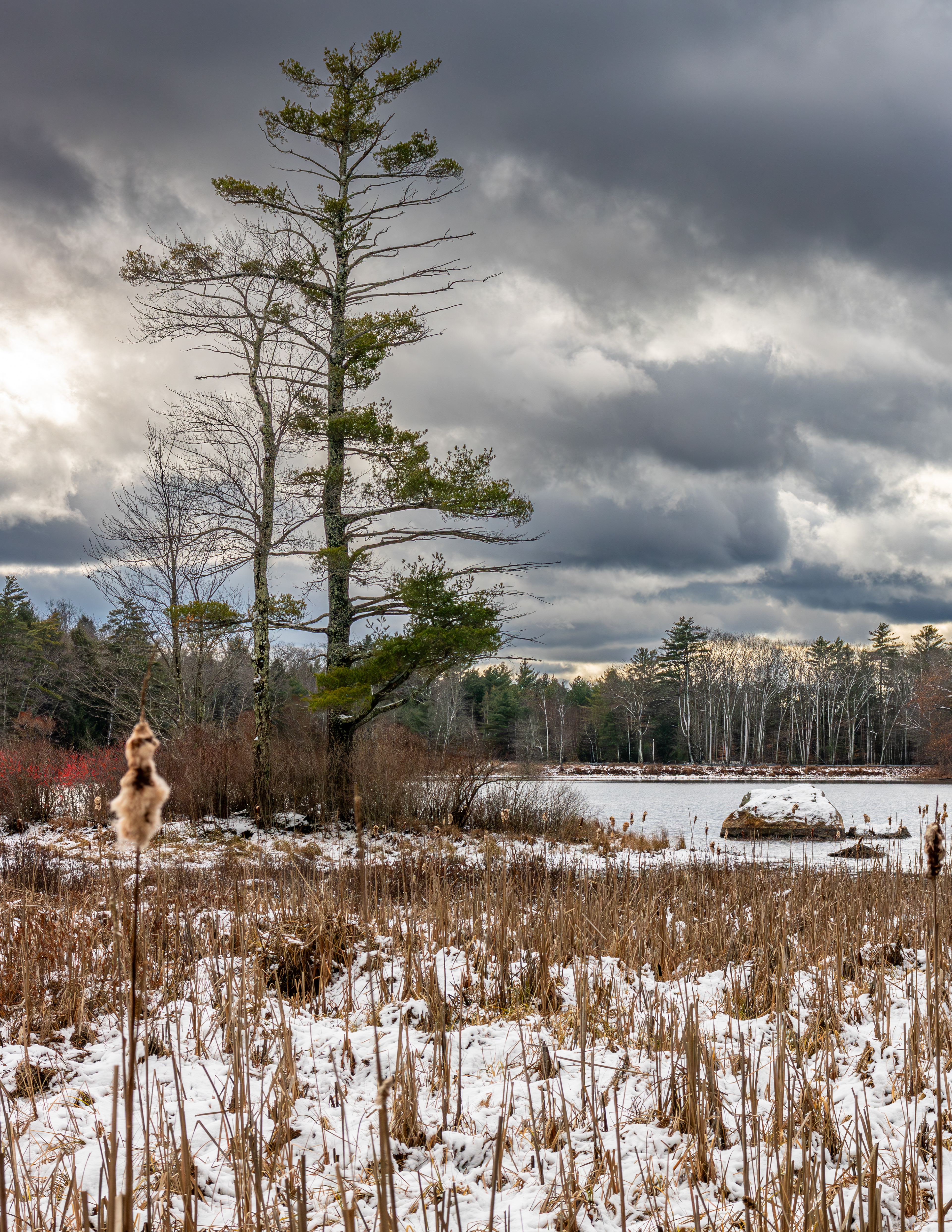 Rollins Pond No6