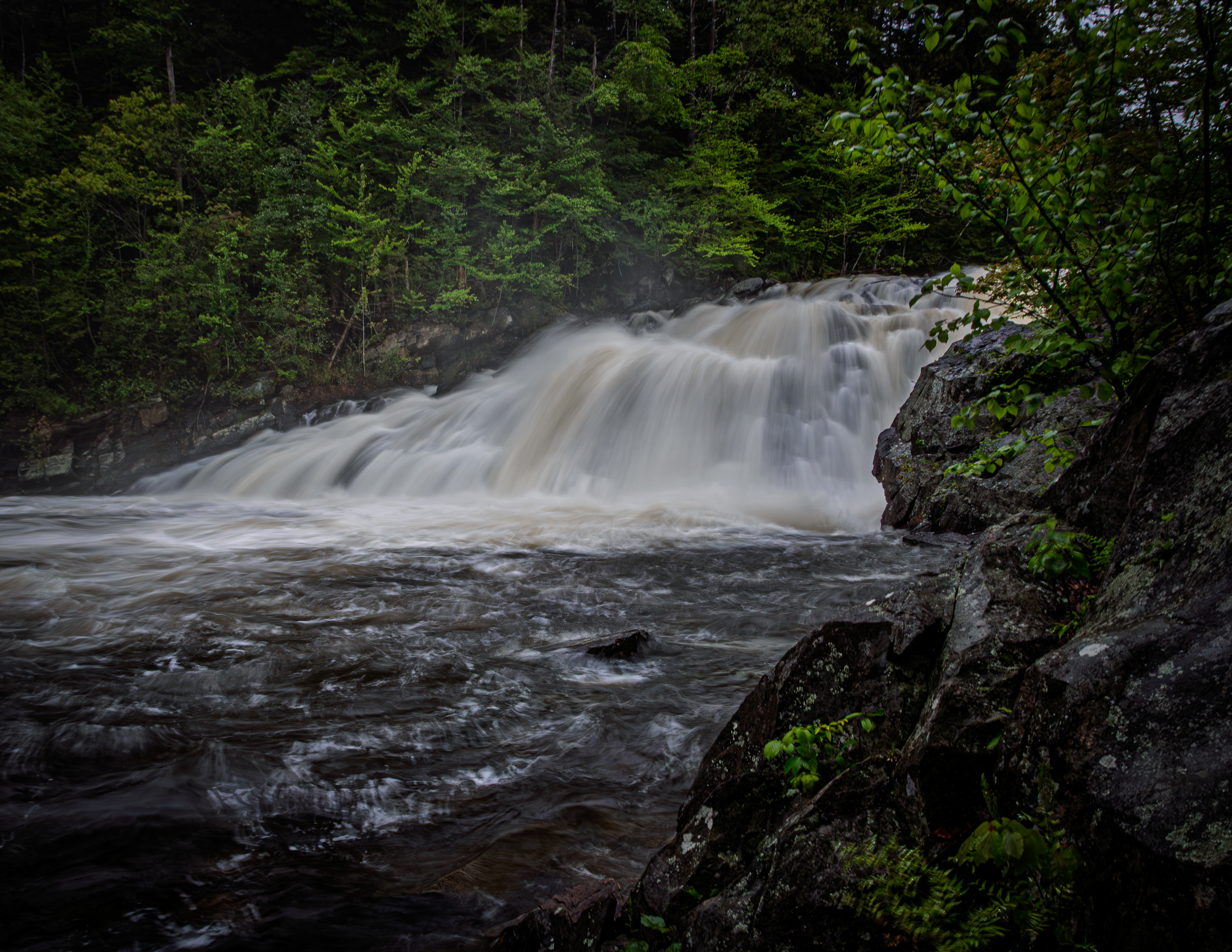 Profile Falls - May 23, 2025