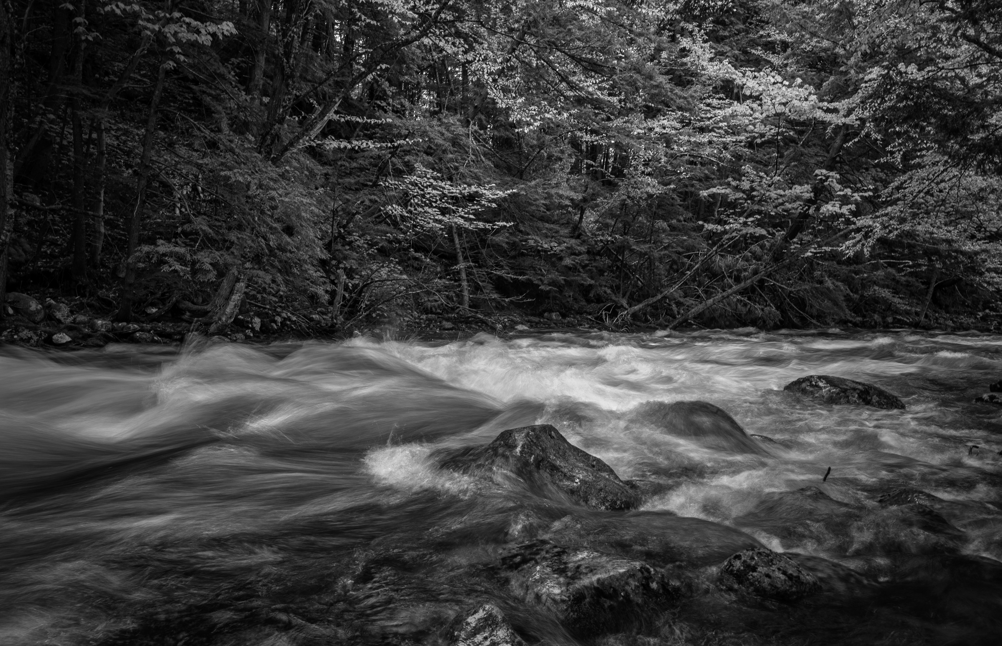 Newfound River - May 20, 2025