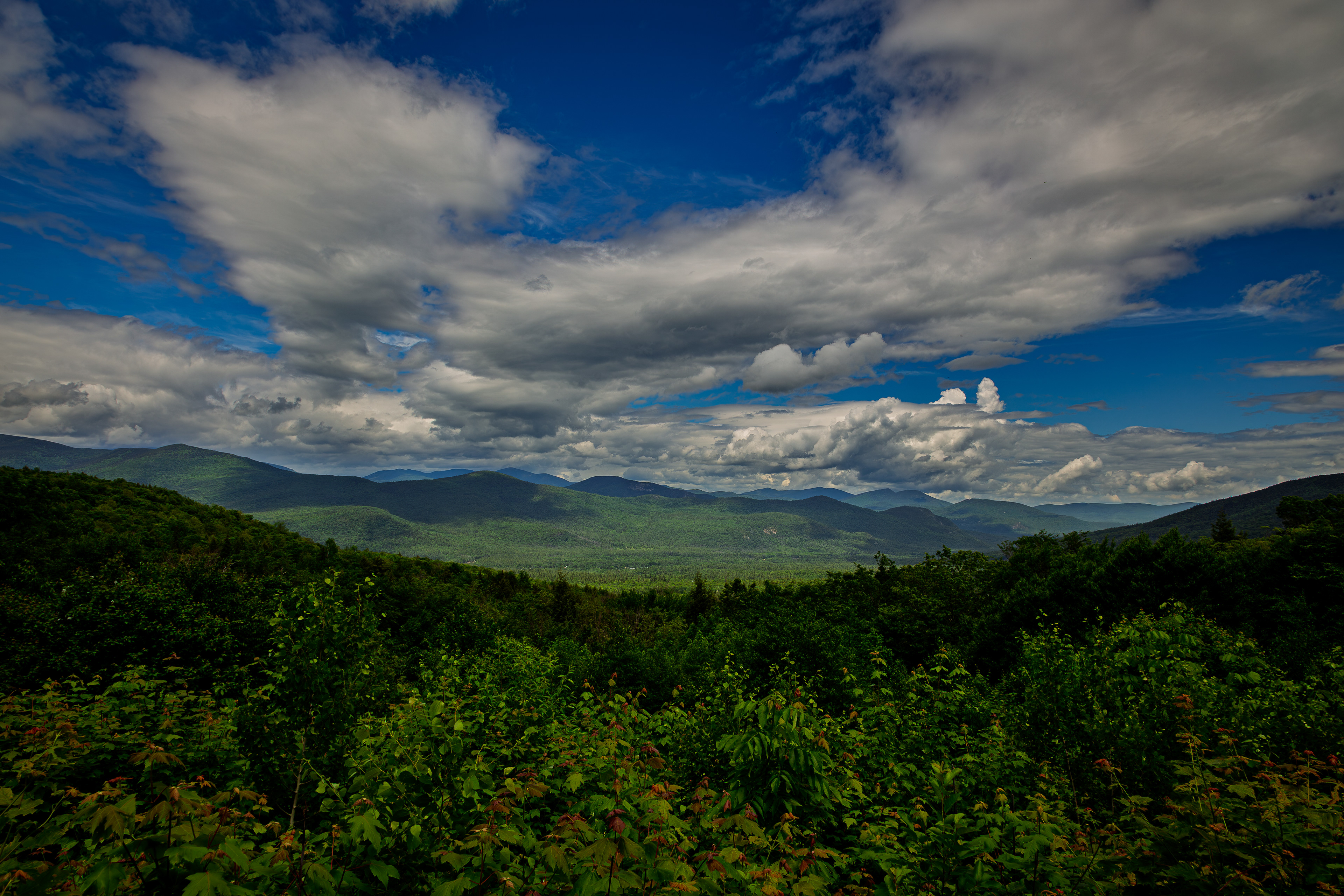 Bear Notch Scenic Vista No8