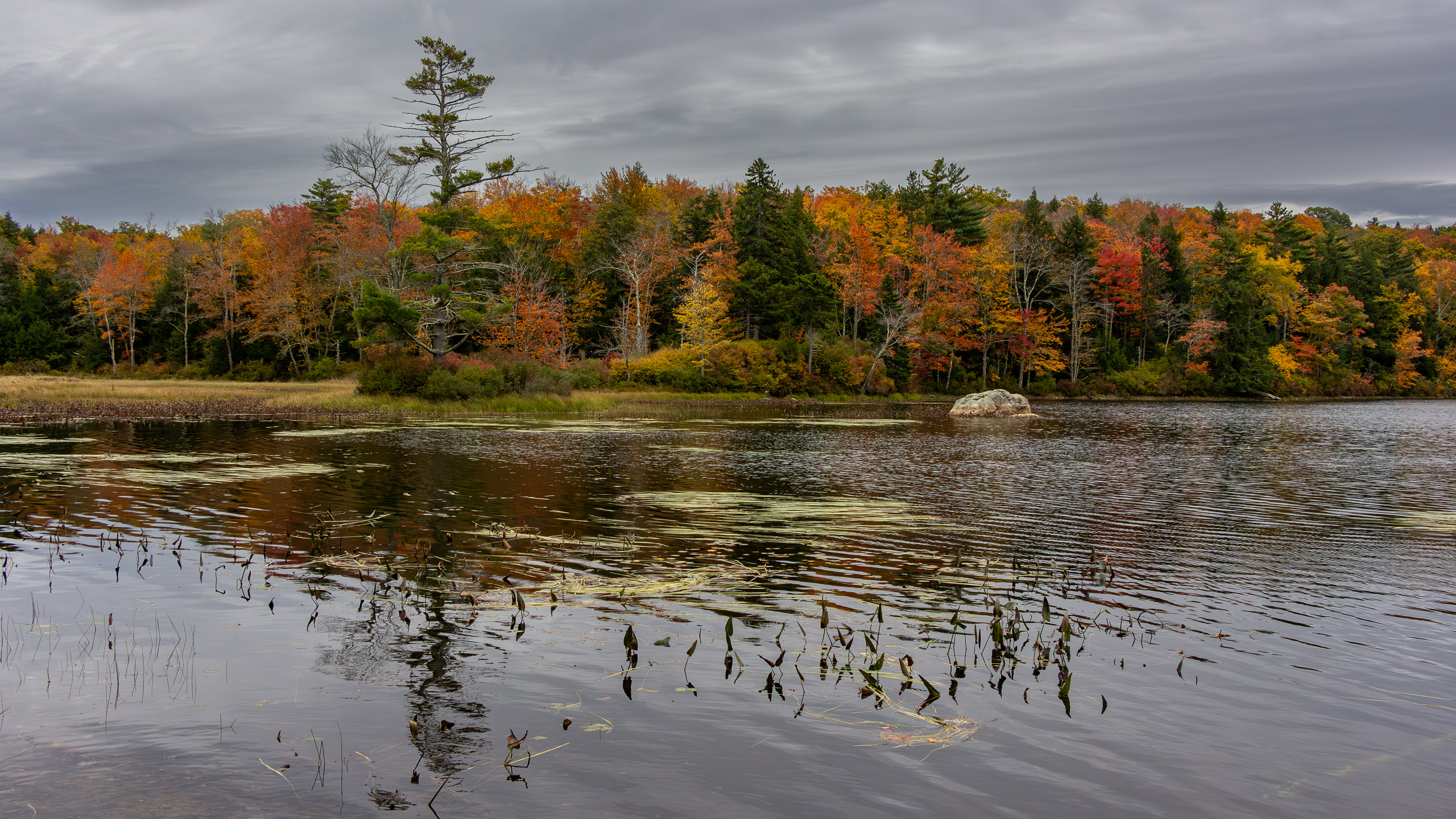 Rollins Pond No20