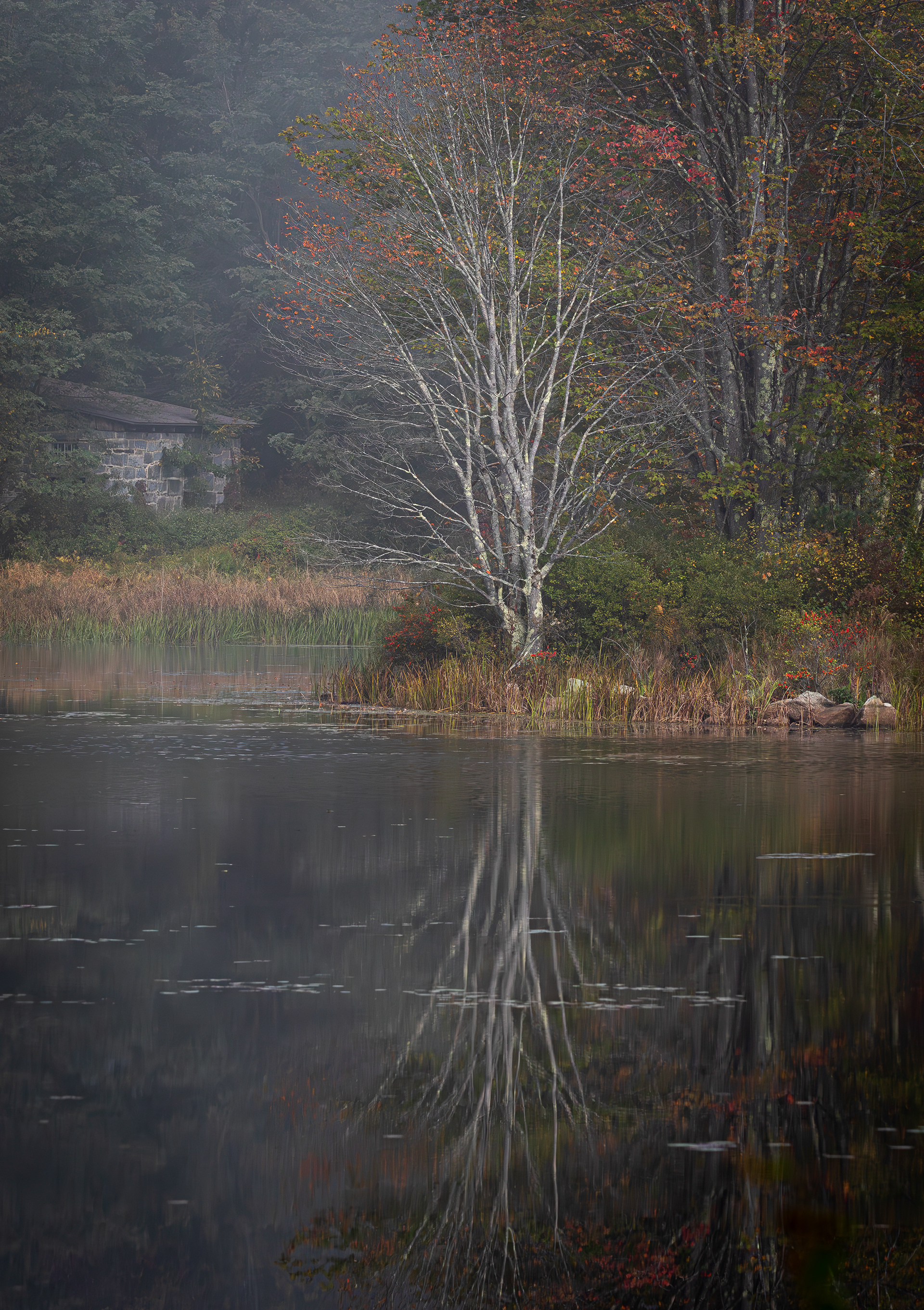 Turning Mill Pond No3