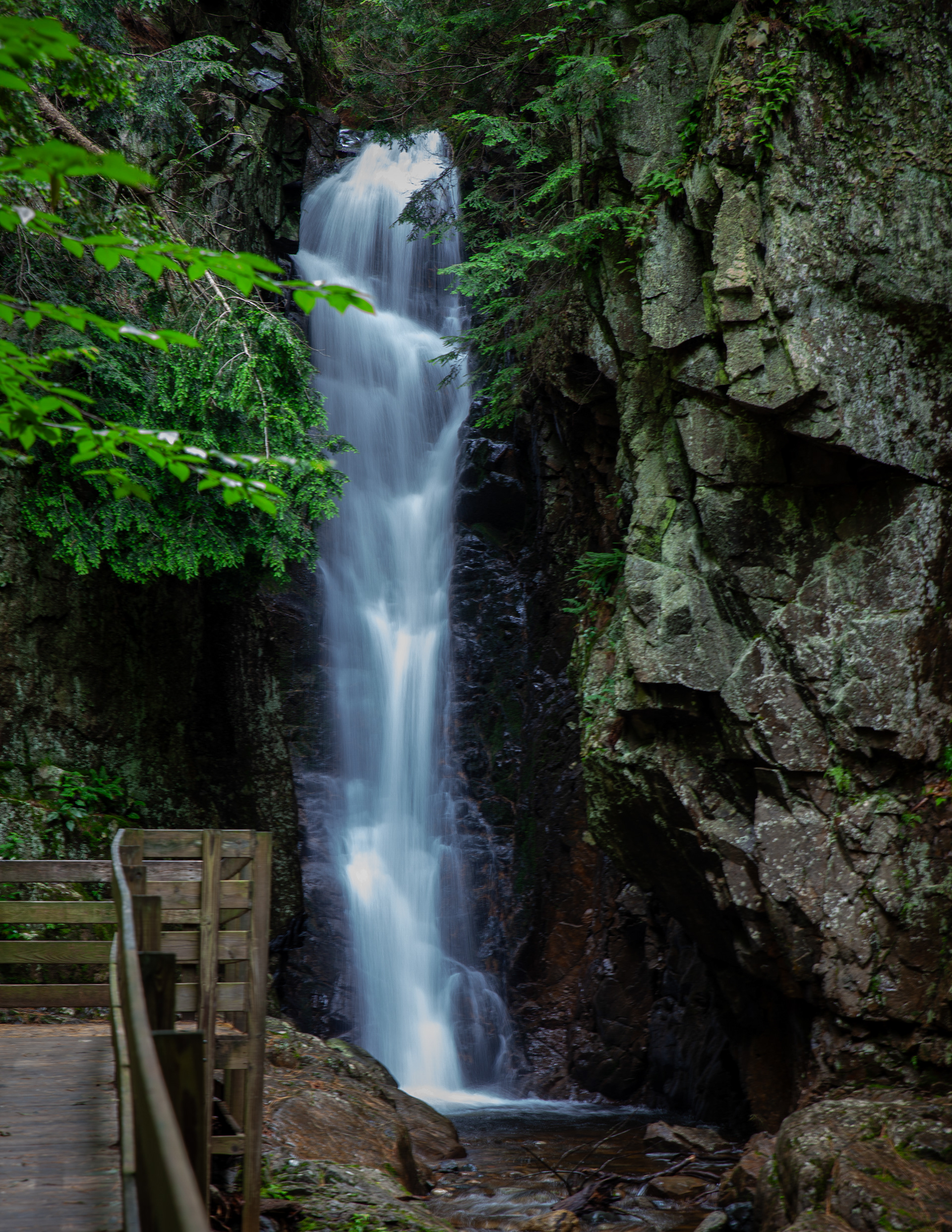 Falls of Song 2024 No1