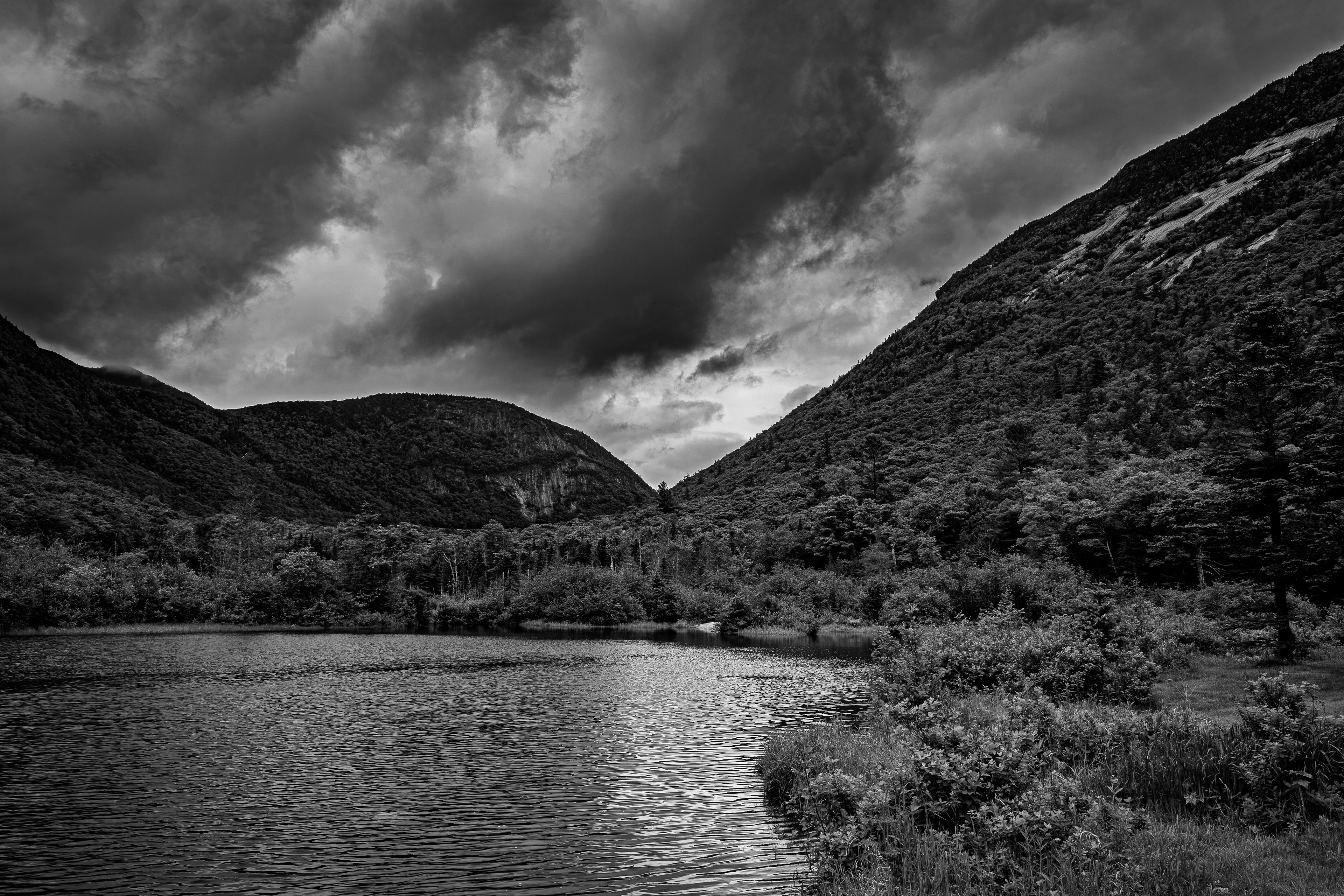 Willey Pond No15