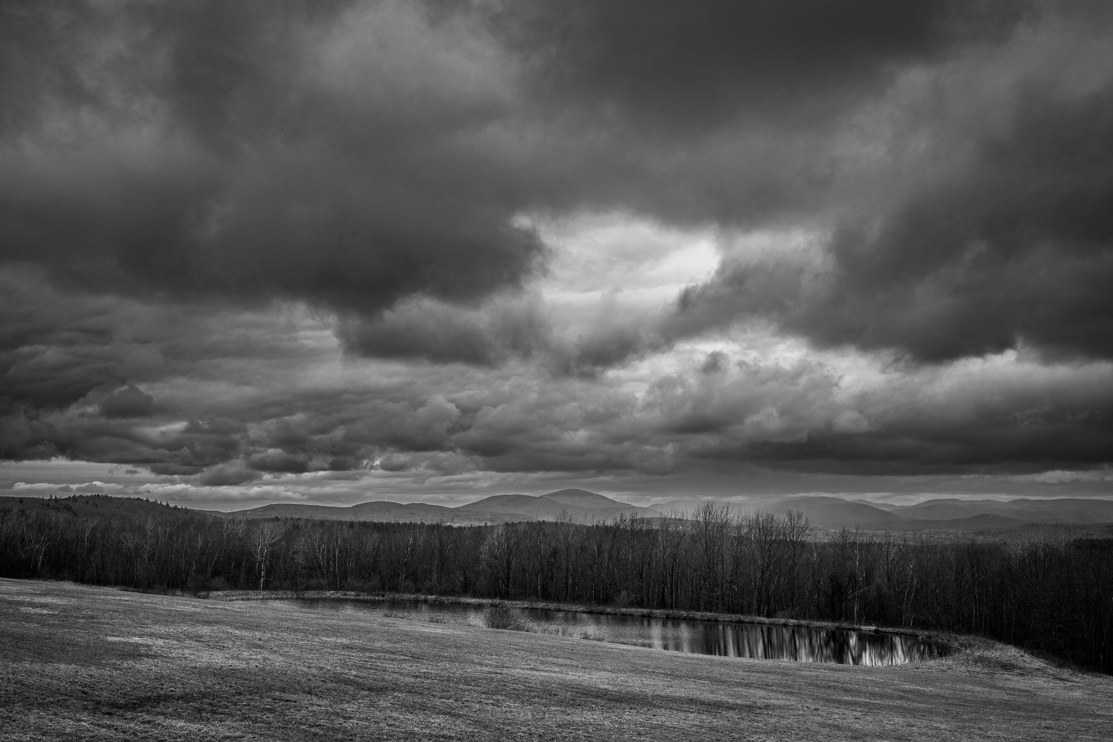 Frisky Hill - April 7, 2025