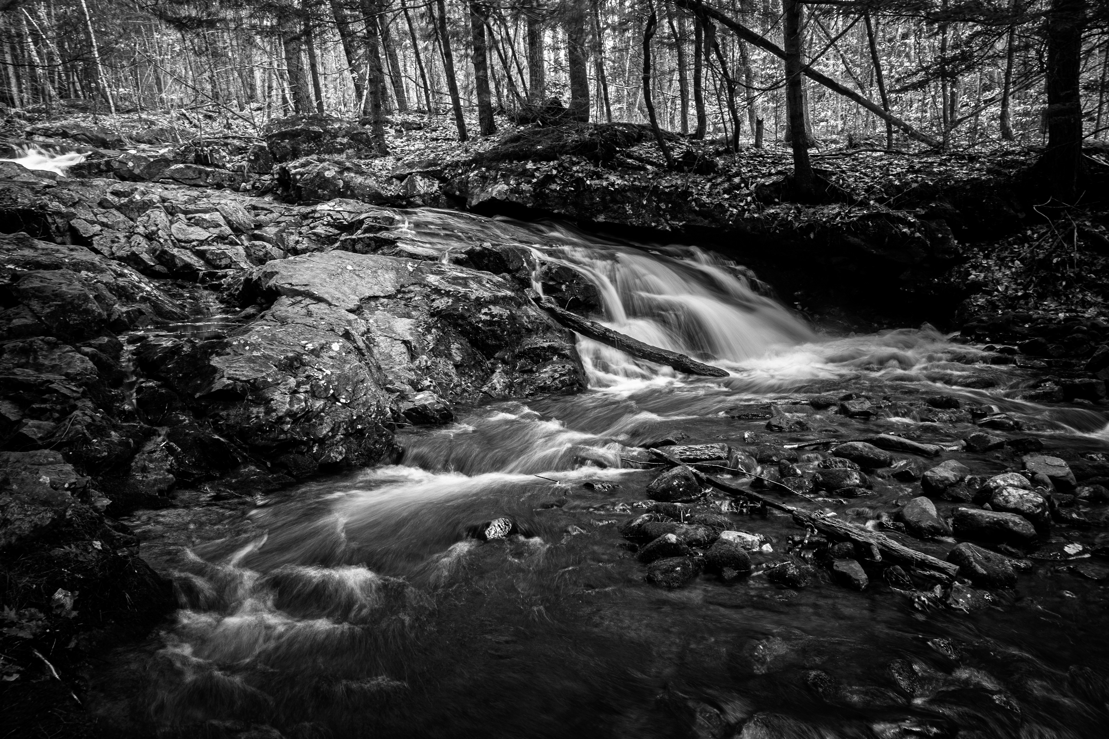 CITC Brook Walk - Unnamed Cascade No15