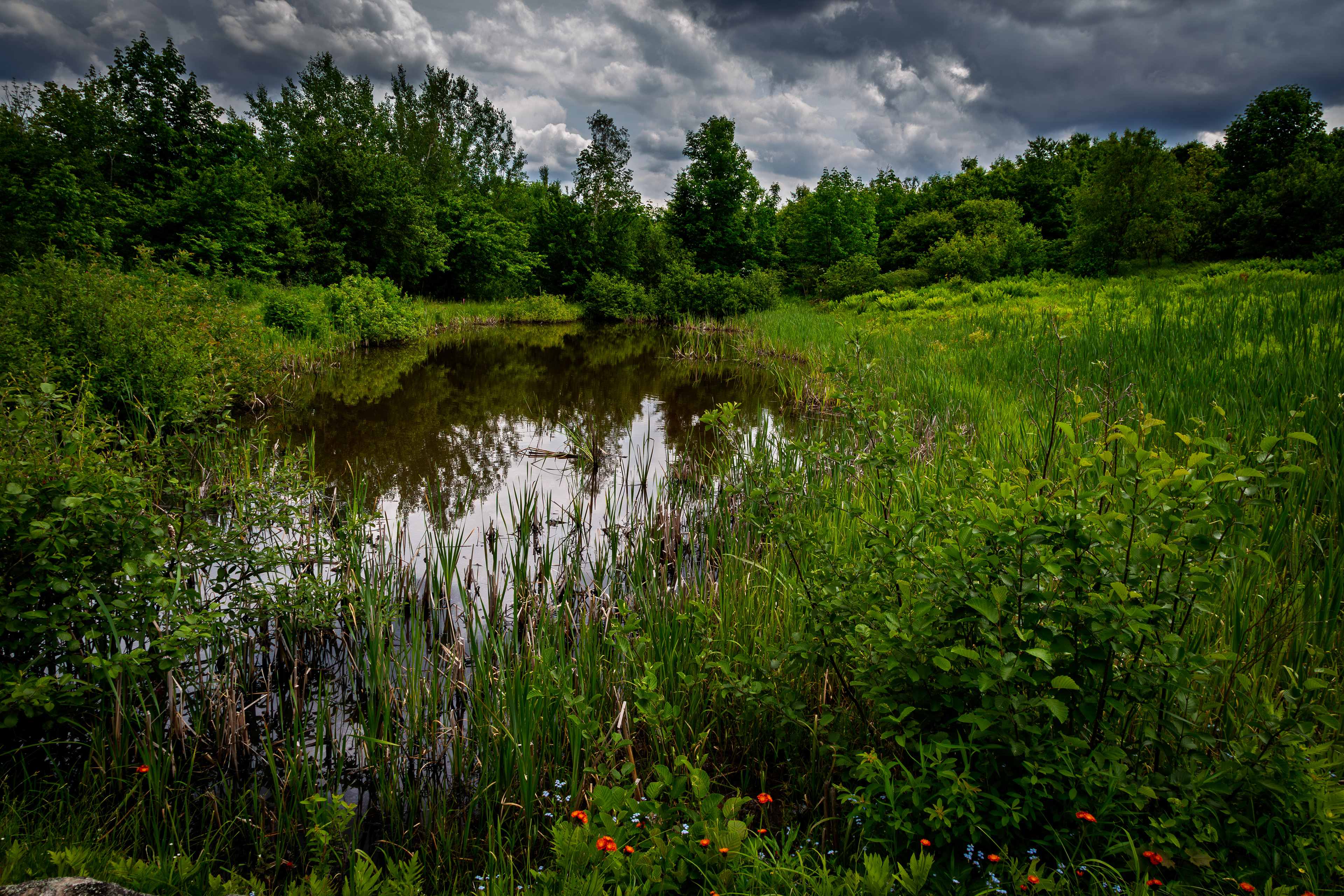 Pond at Sugar Hill No2