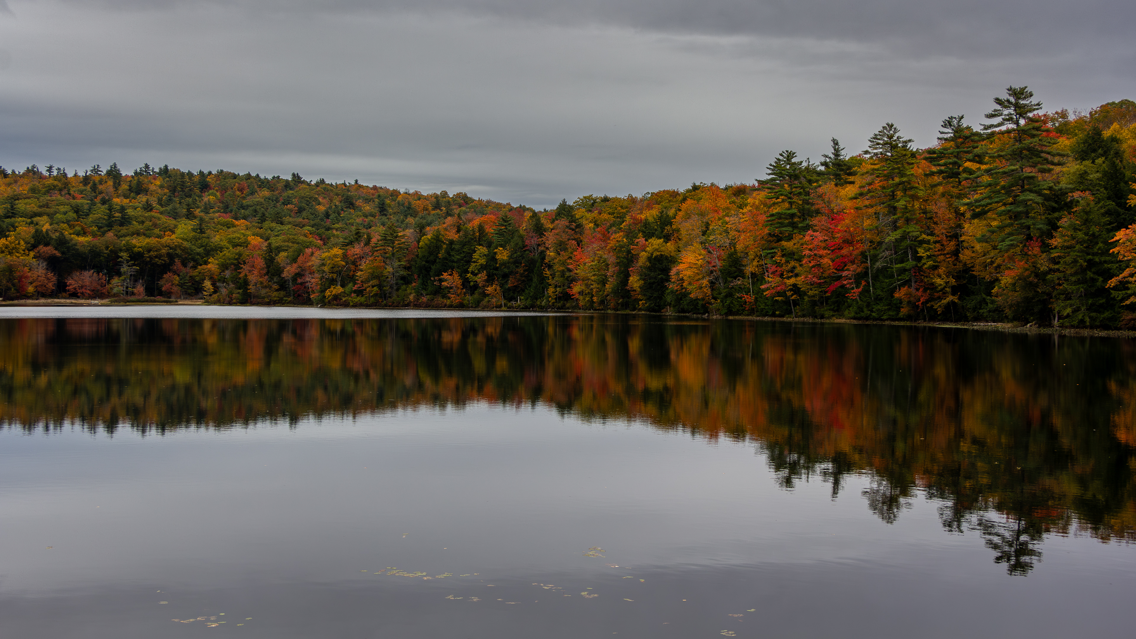 Rollins Pond No6