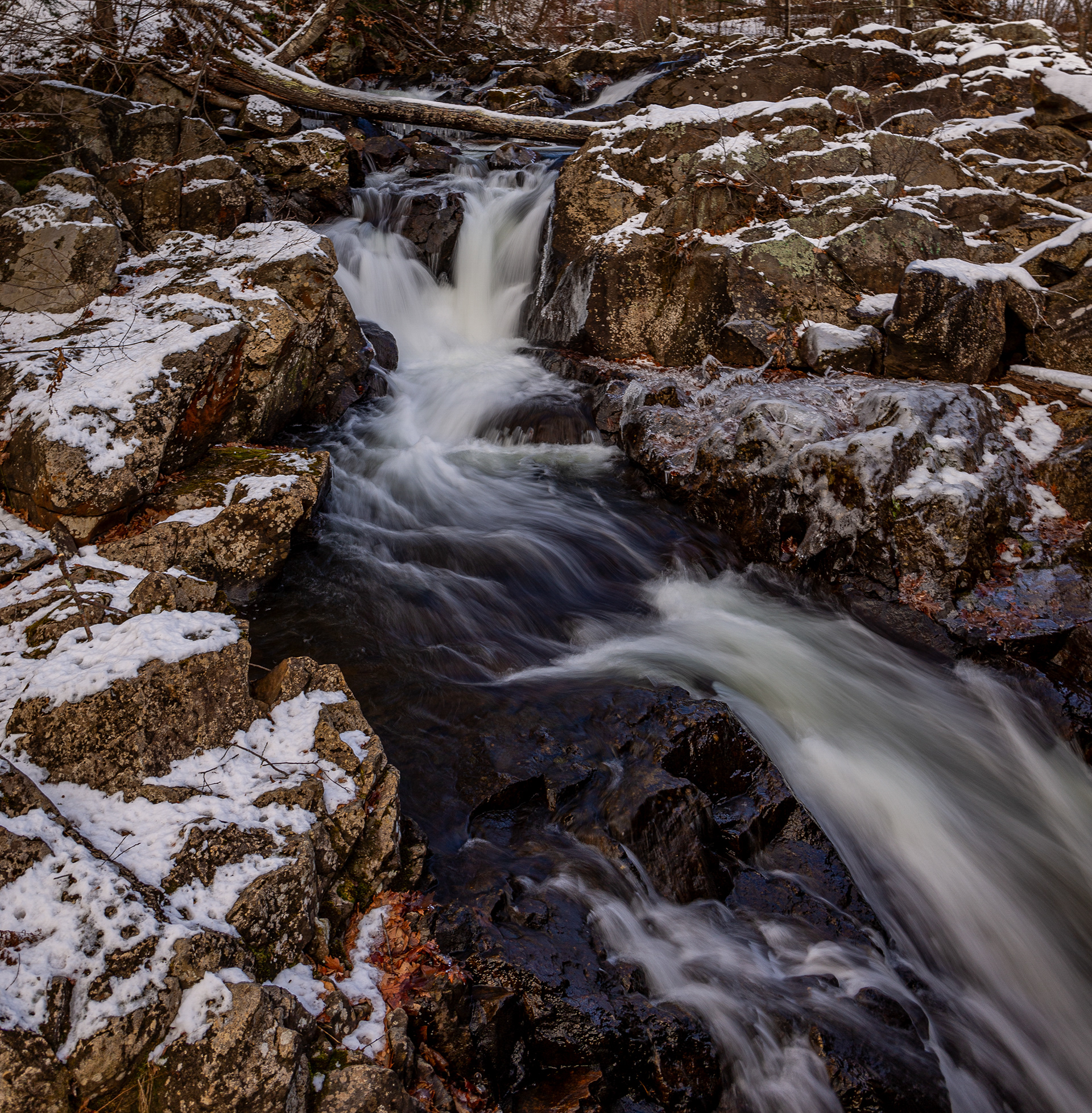 Bristol Falls Park 12-3-2024 No3