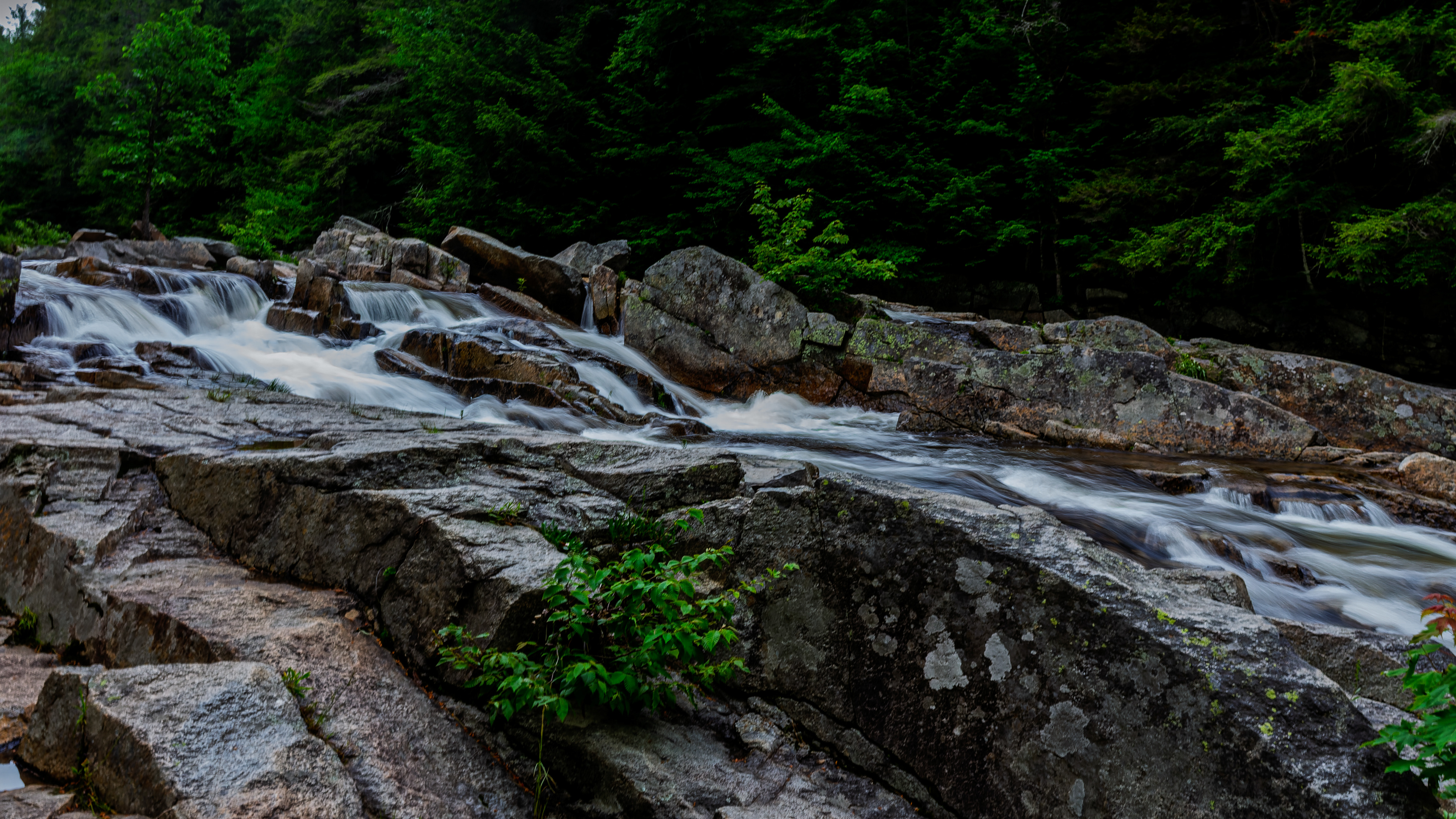 Jackson Falls No22