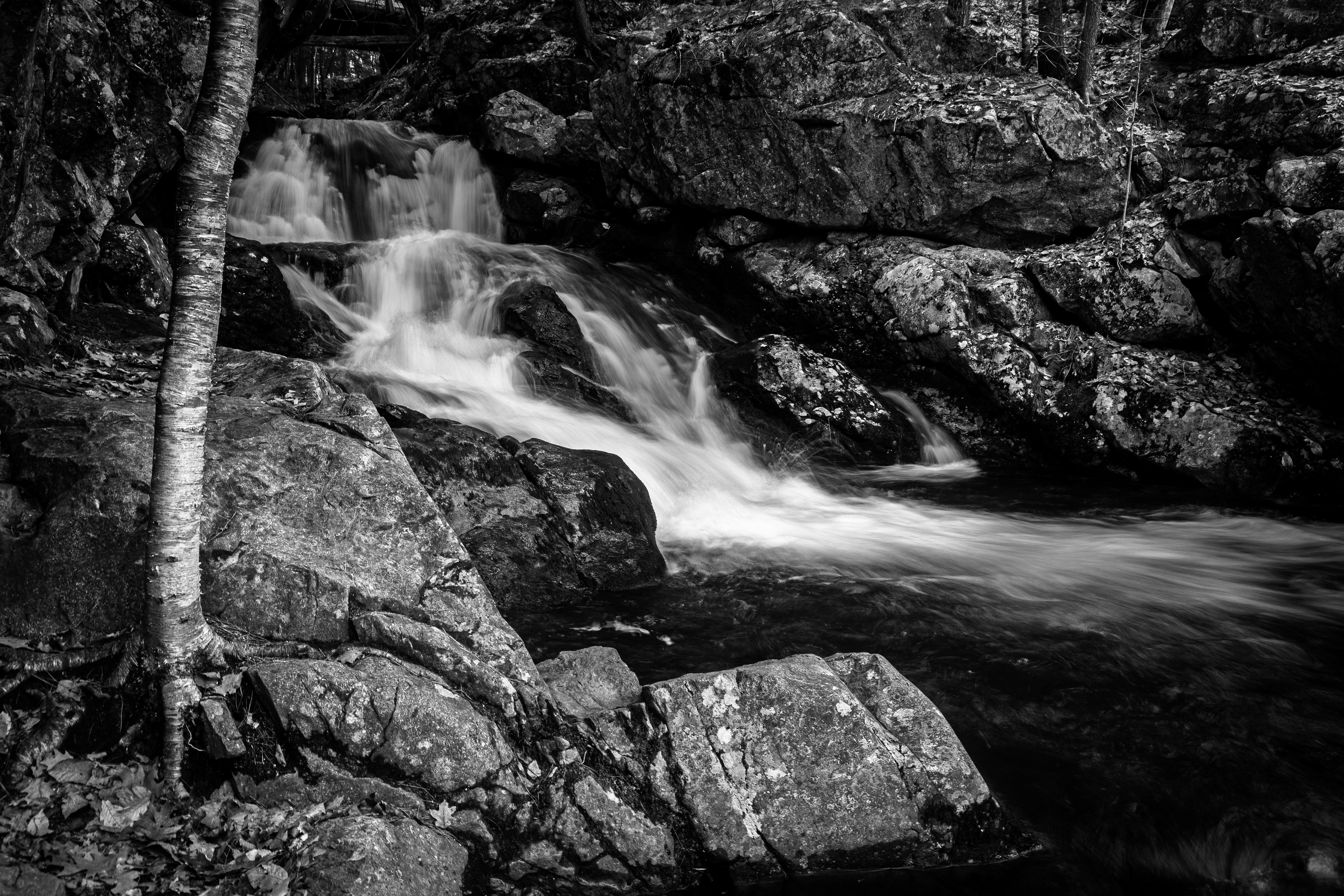 CITC Brook Walk - Roaring Falls No9