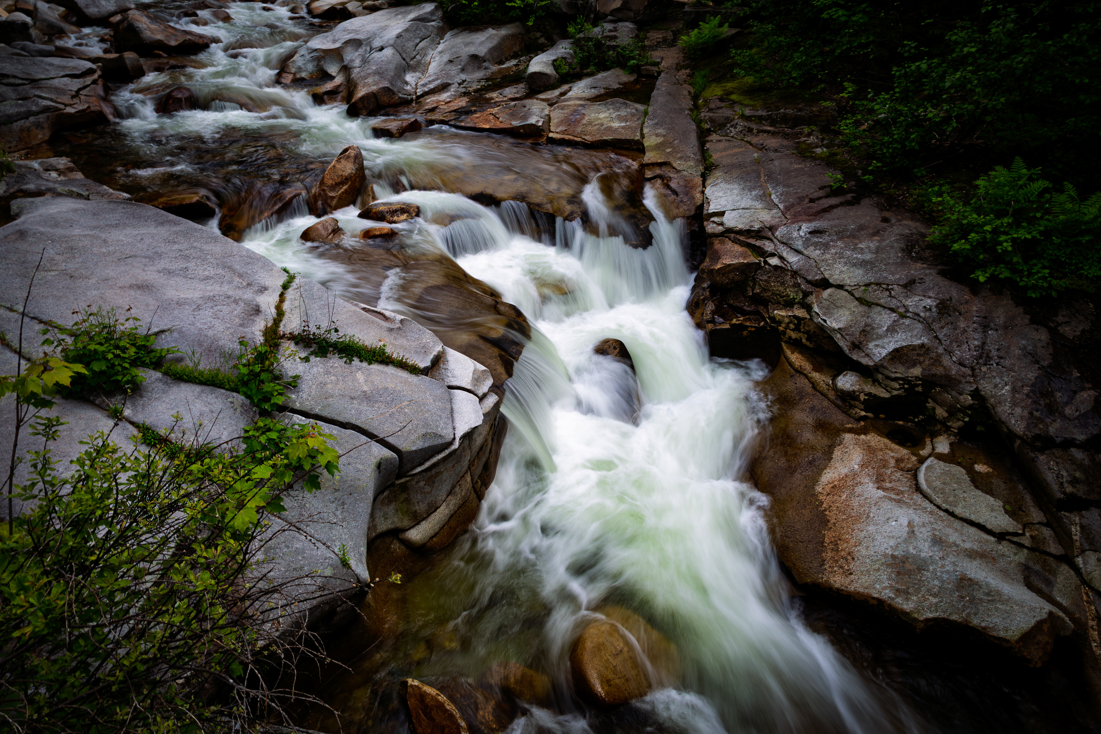 Upper Ammonoosuc Falls No5 - June 15, 2025