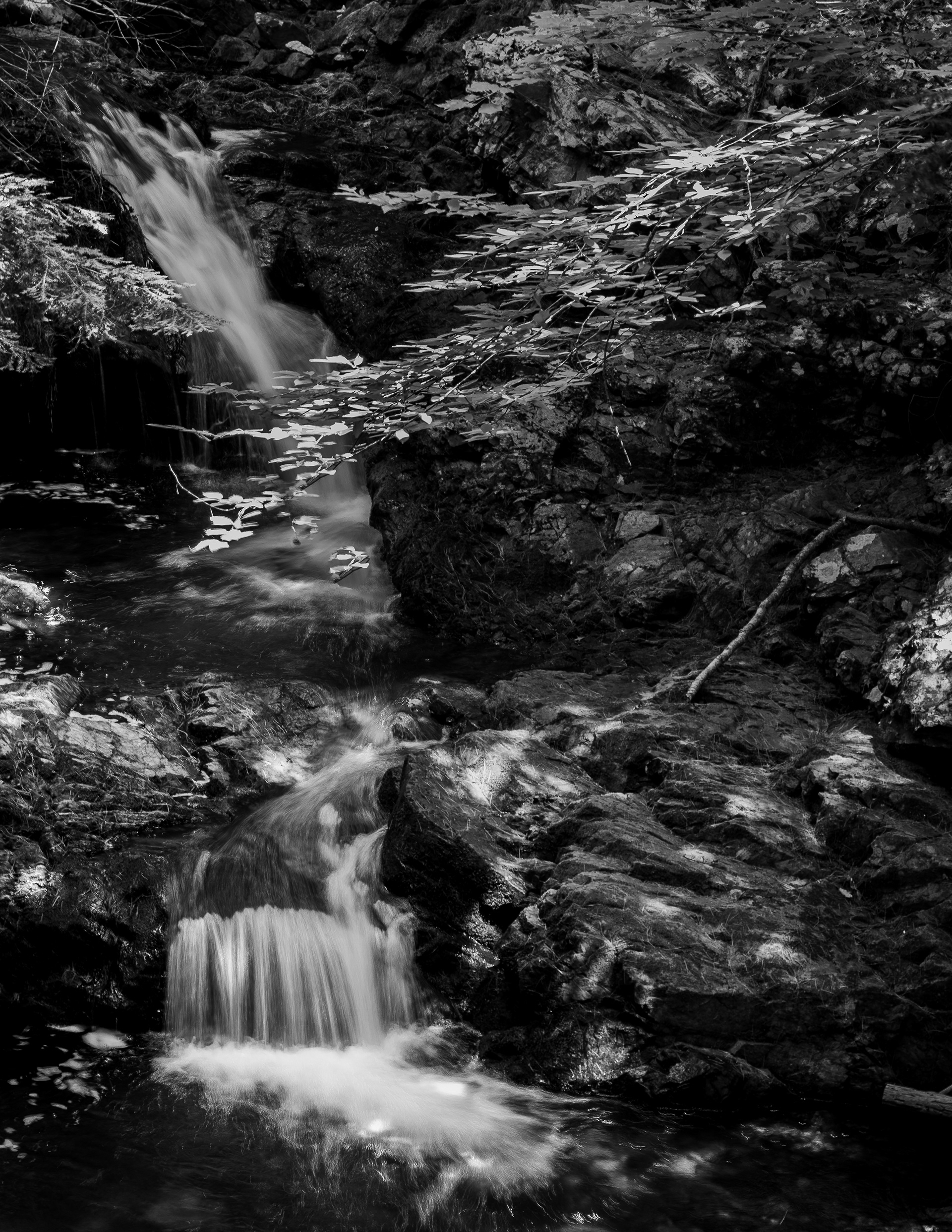 Whittier Falls at CITC in Black & White