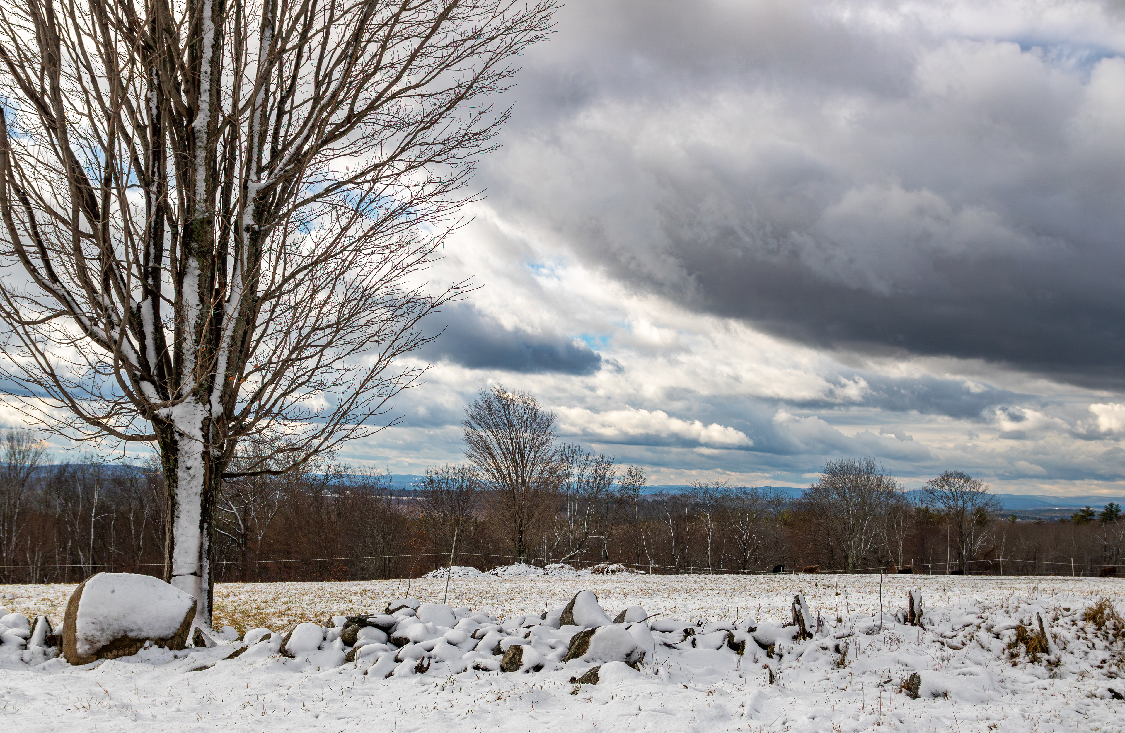 Loudon Ridge Road No2