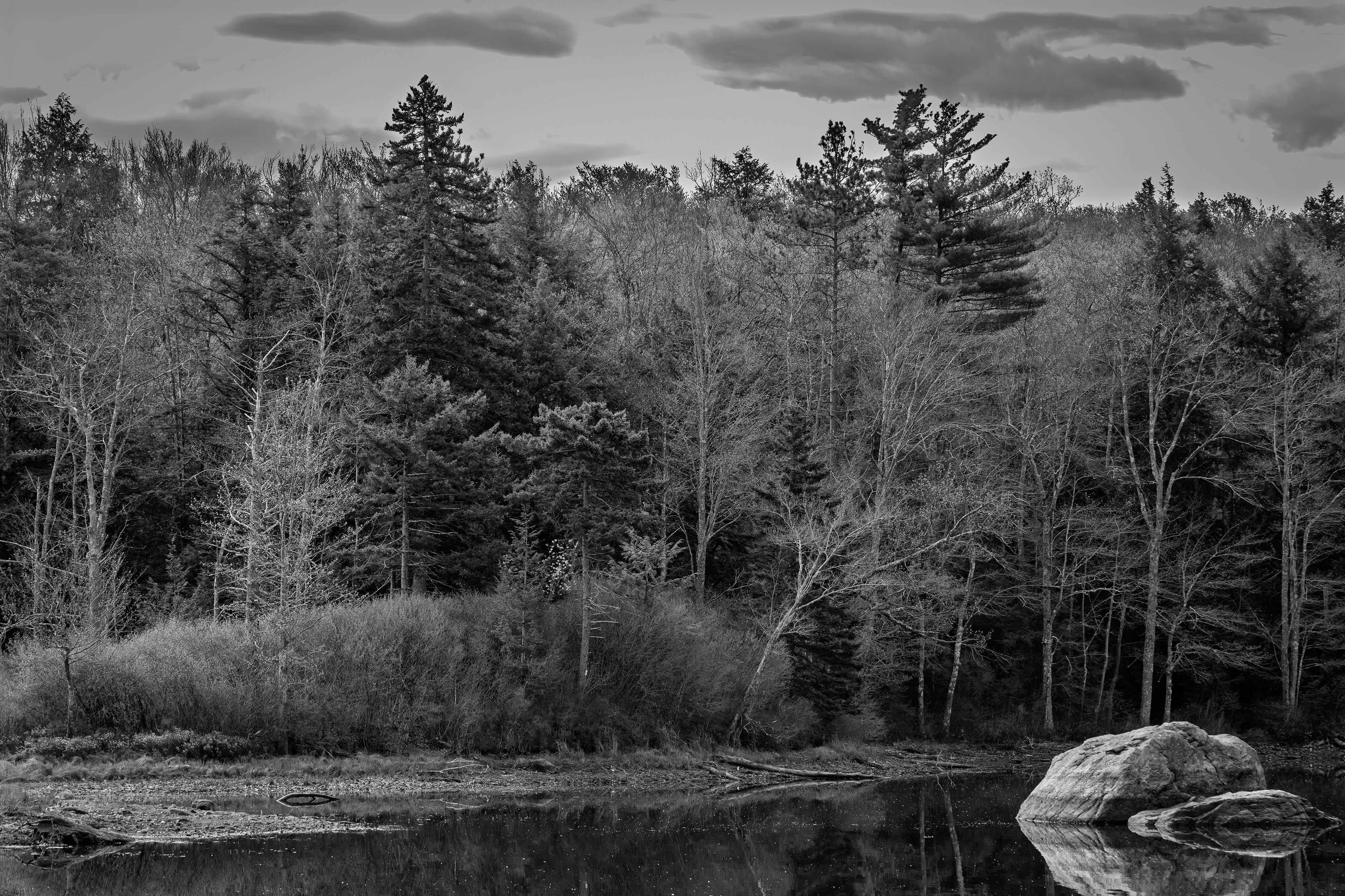 Rollins Pond in Black & White