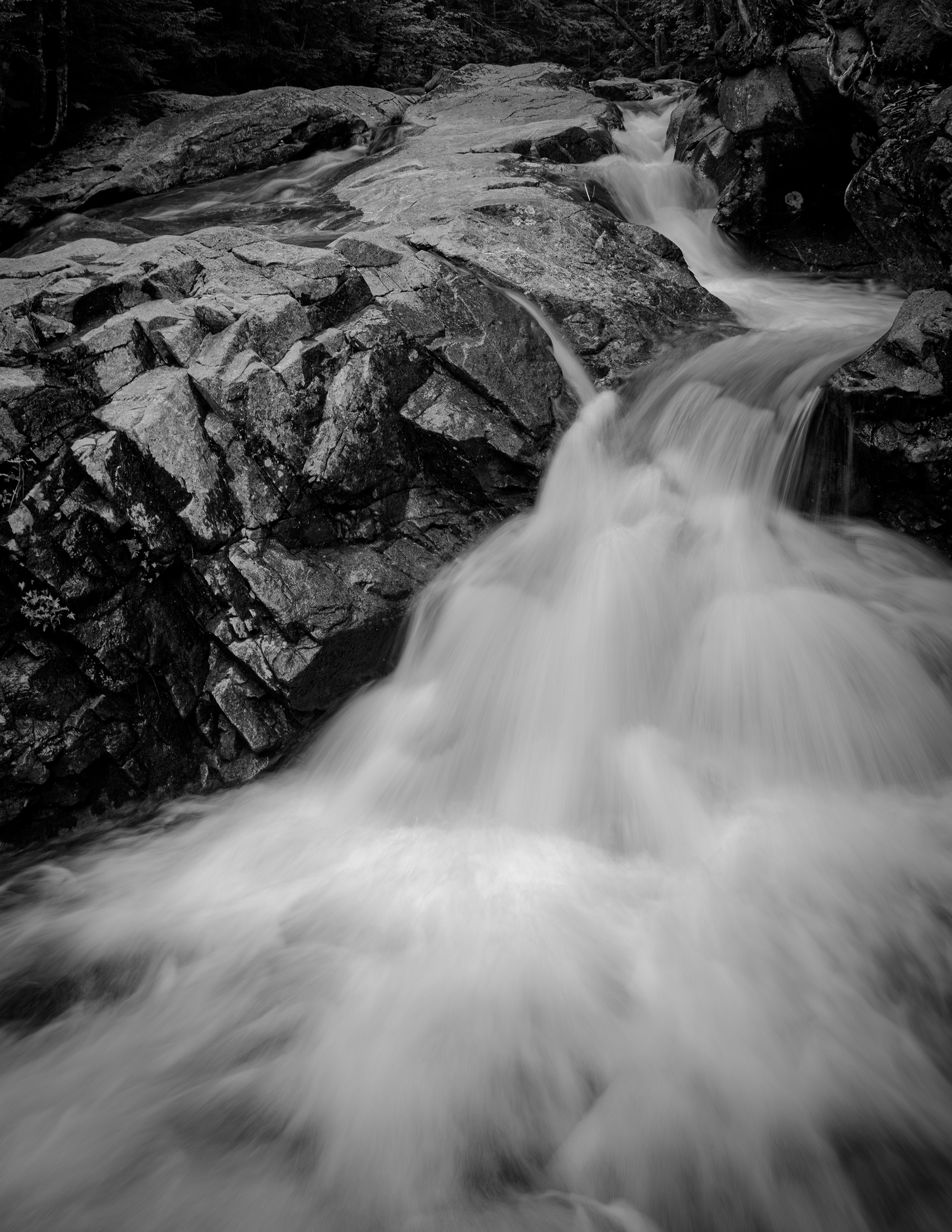 Waterfall Along the Basin Trail - June 15, 2025