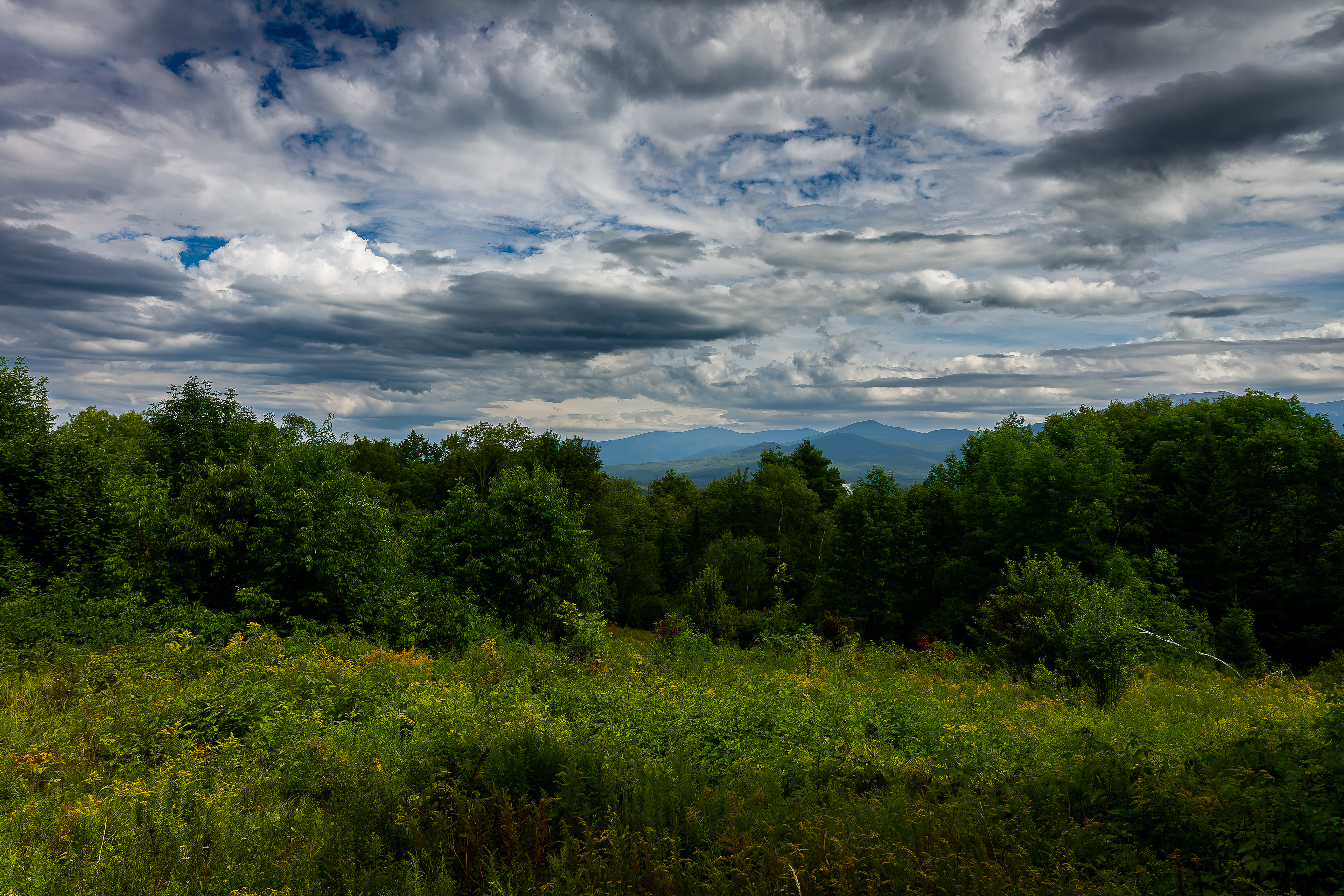 Sugar Hill Mountain Views No1 - August 22, 2026