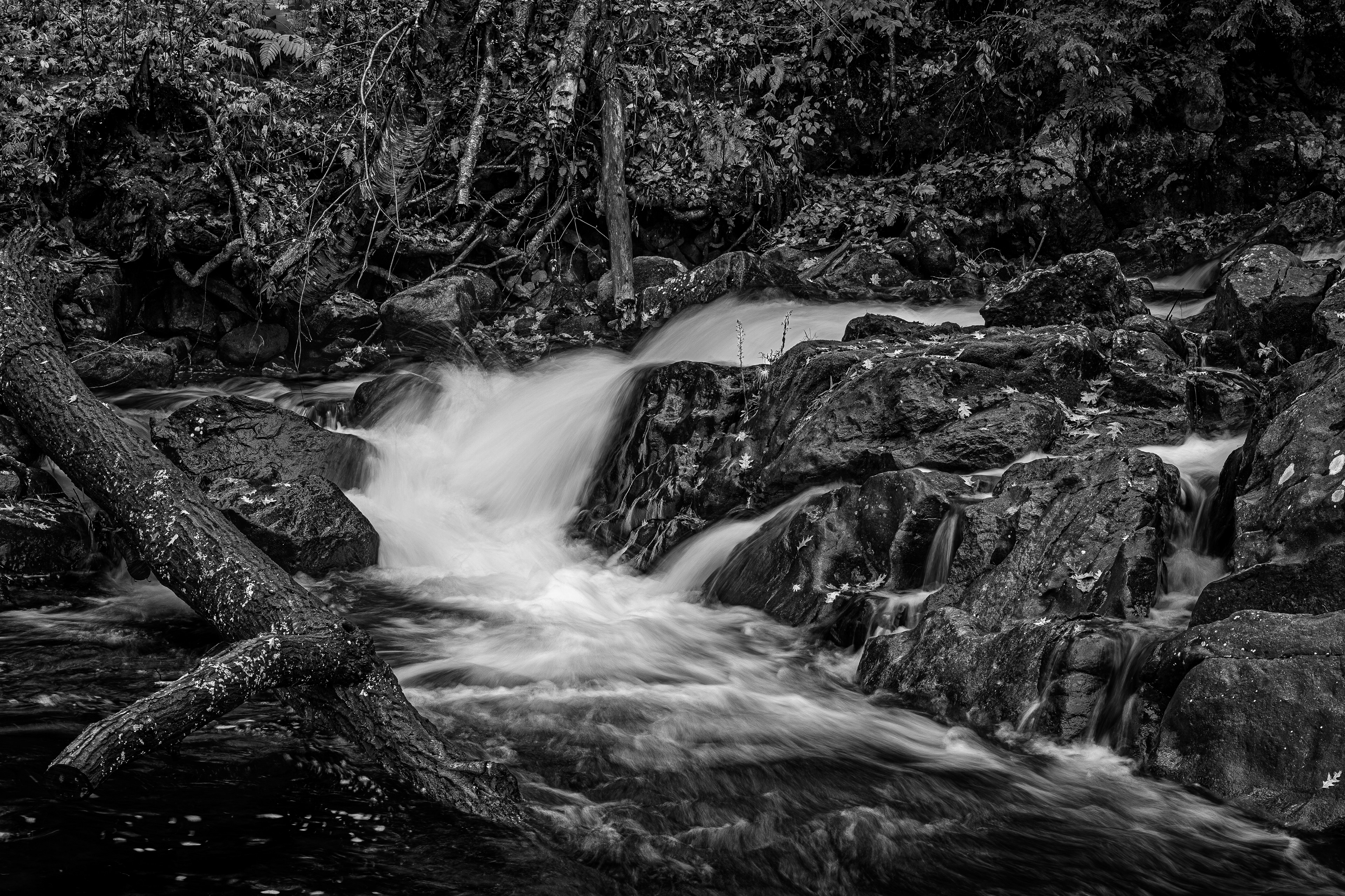 Bristol Falls Park No5