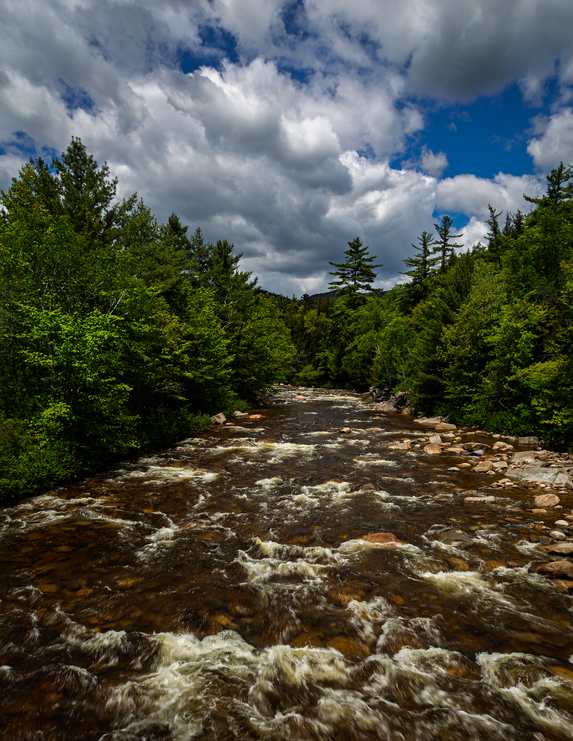 Swift River from Albany Covered Bridge No4