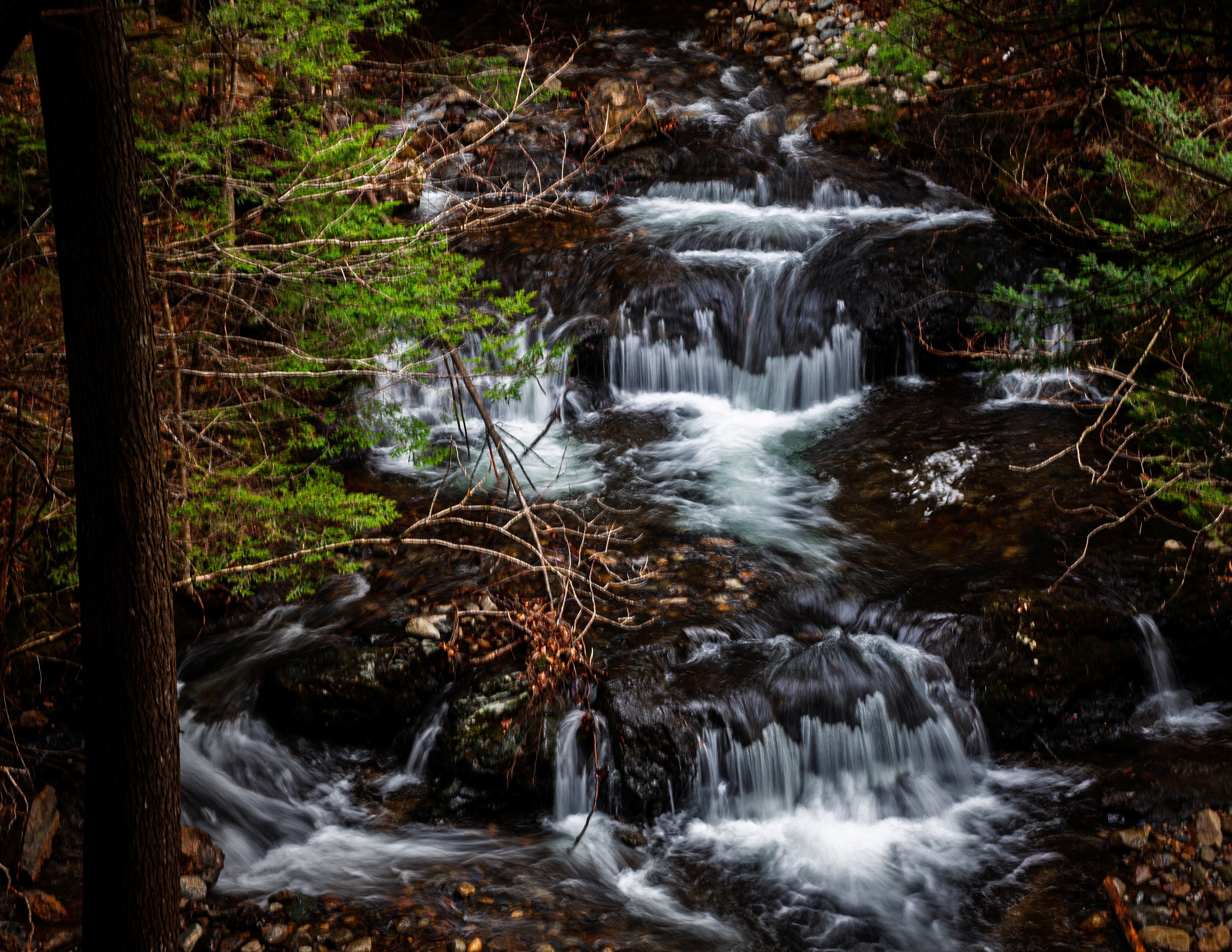 CITC Brook Walk - The Cascades No22