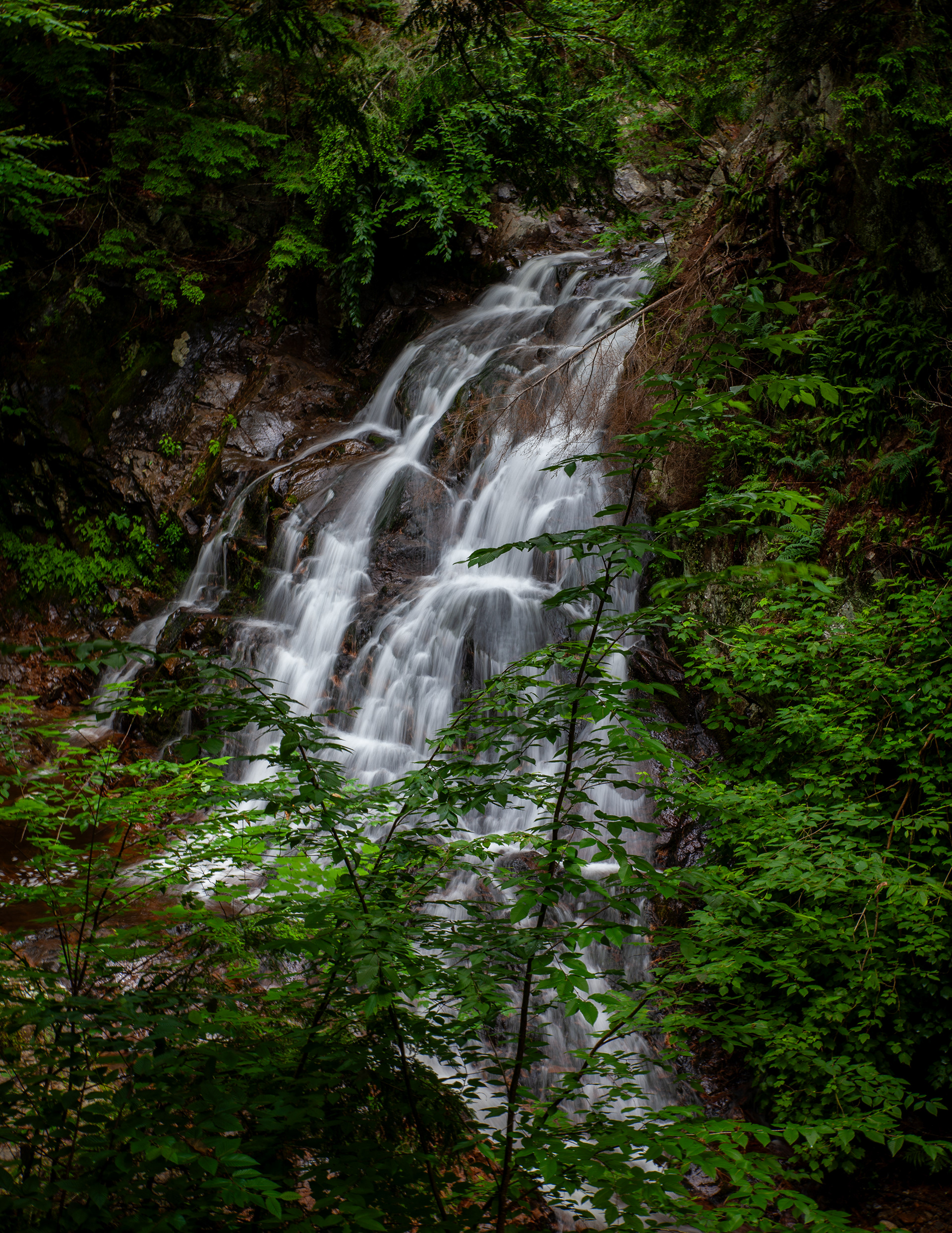 Bridal Veil Falls 2024 No3