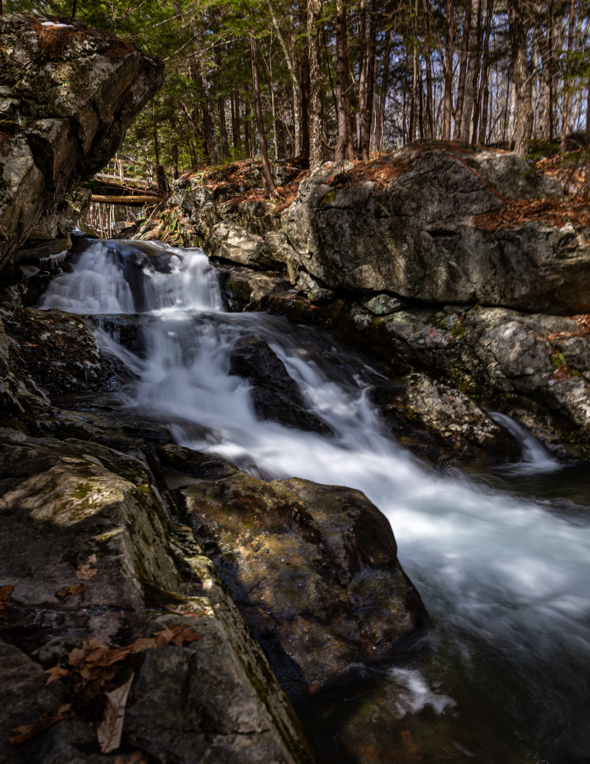 Roaring Falls No7