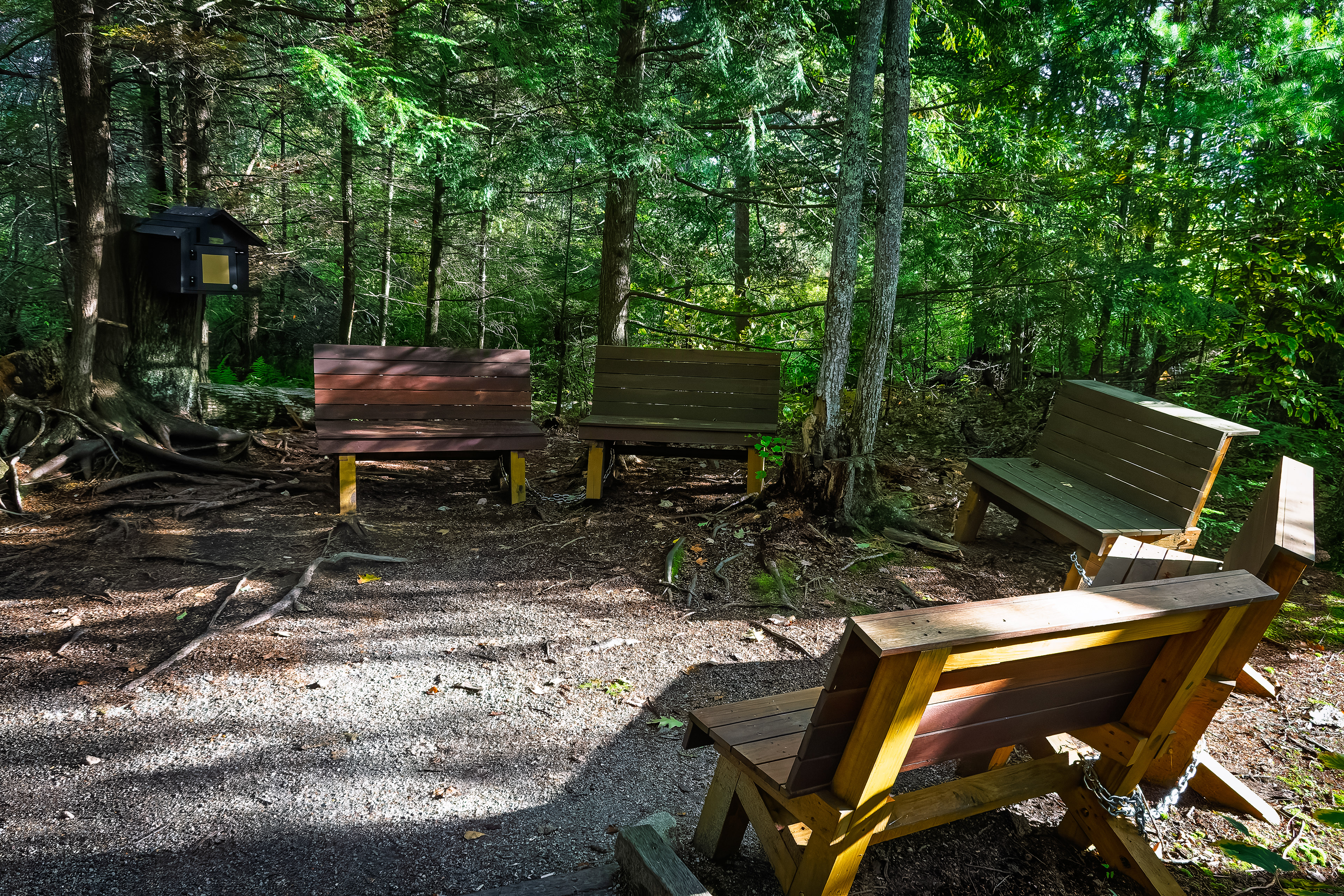 Laverack Trail No4