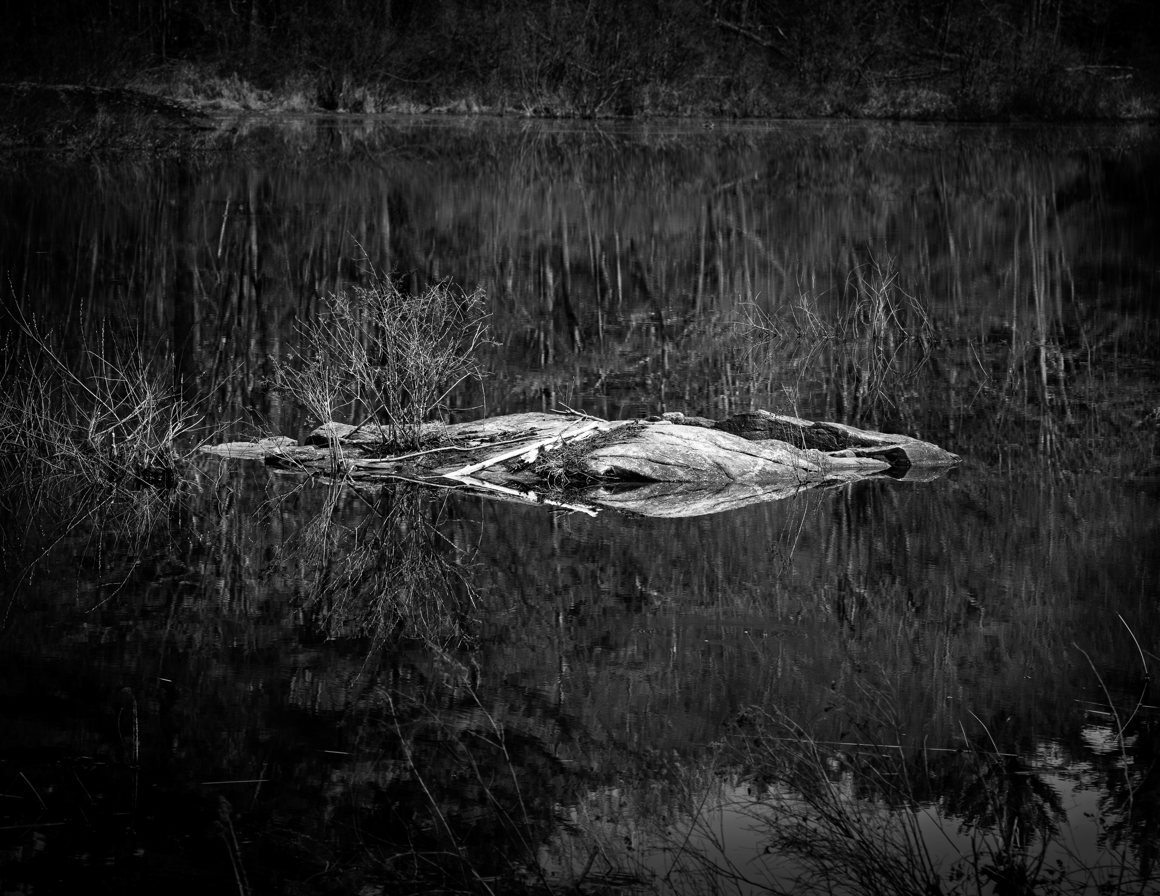 Factory Pond Reflections No5