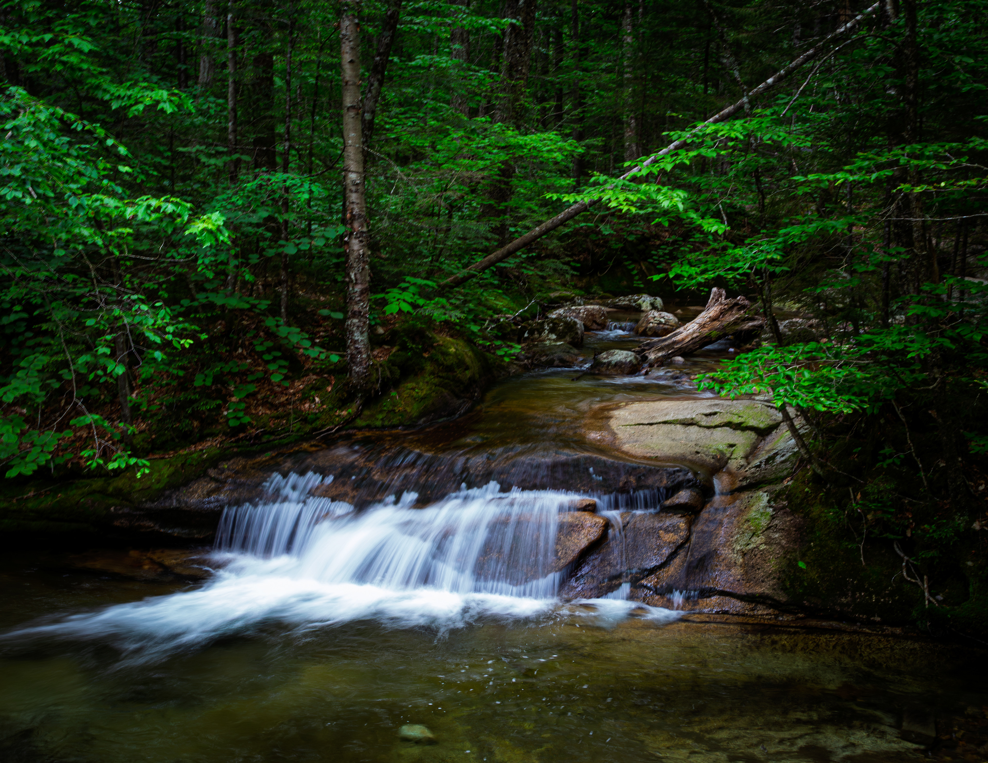 Cascade at the Basin No2