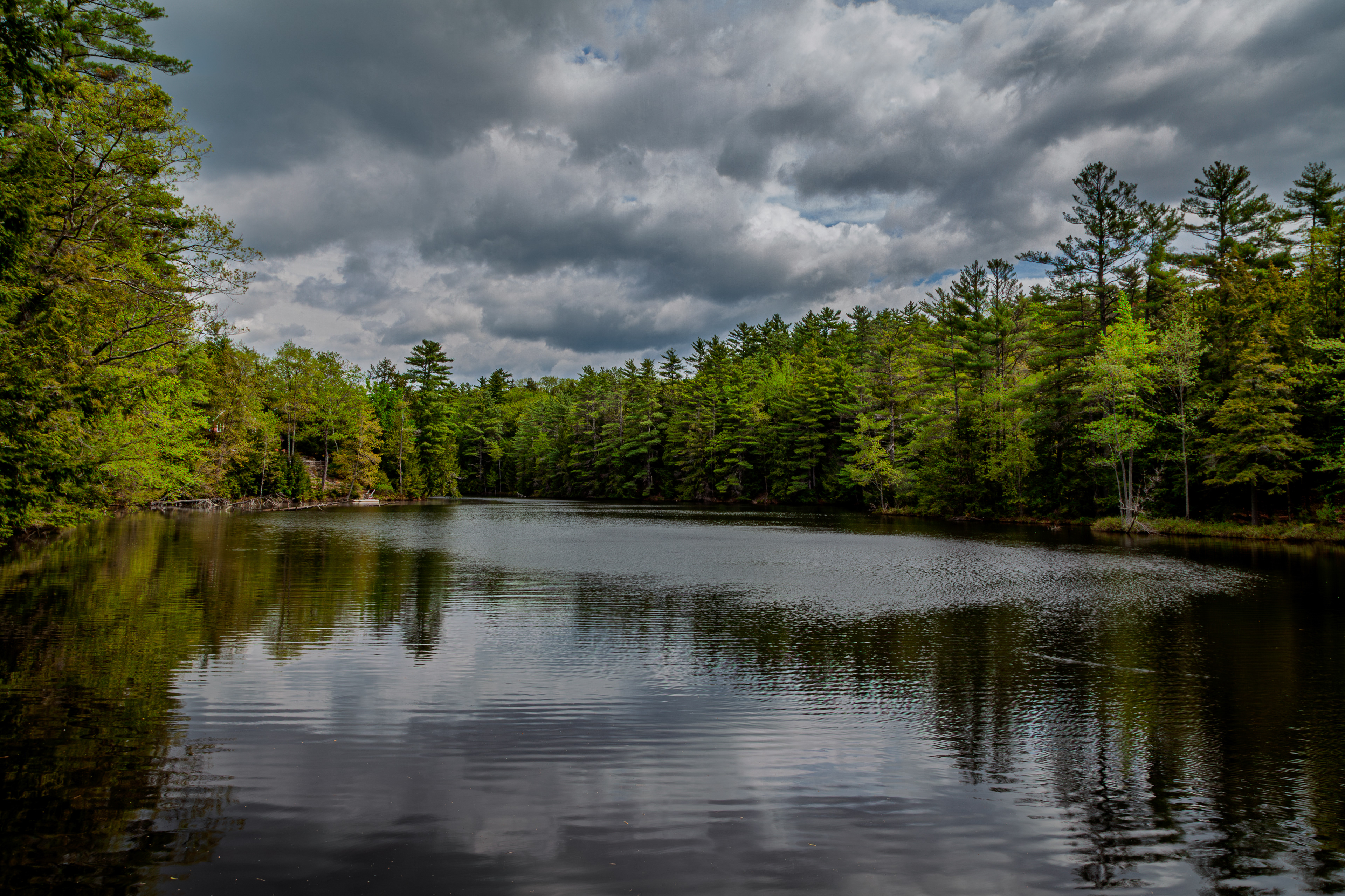 Pond on Meadow Pond Road No2