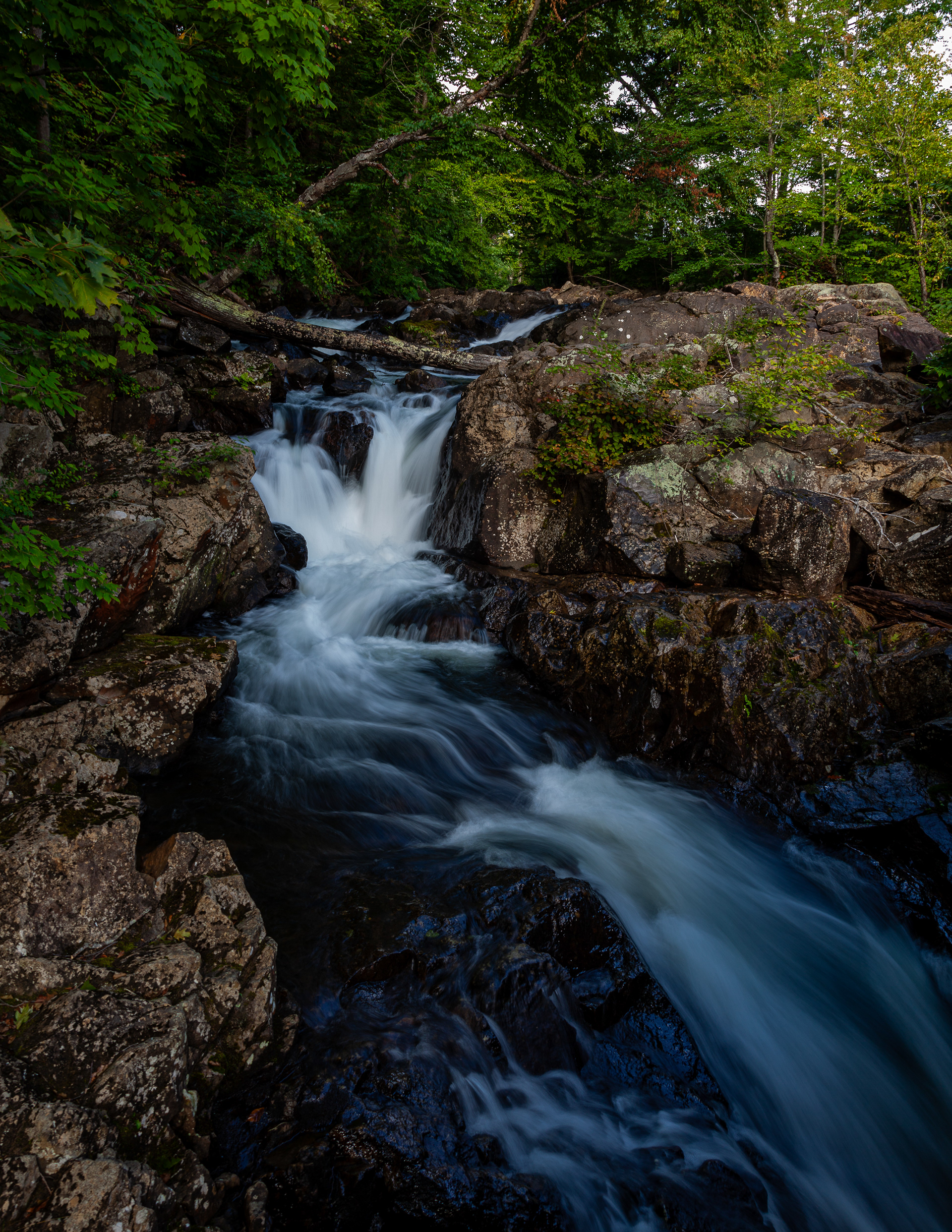 Bristol Falls No1 - September 06, 2024