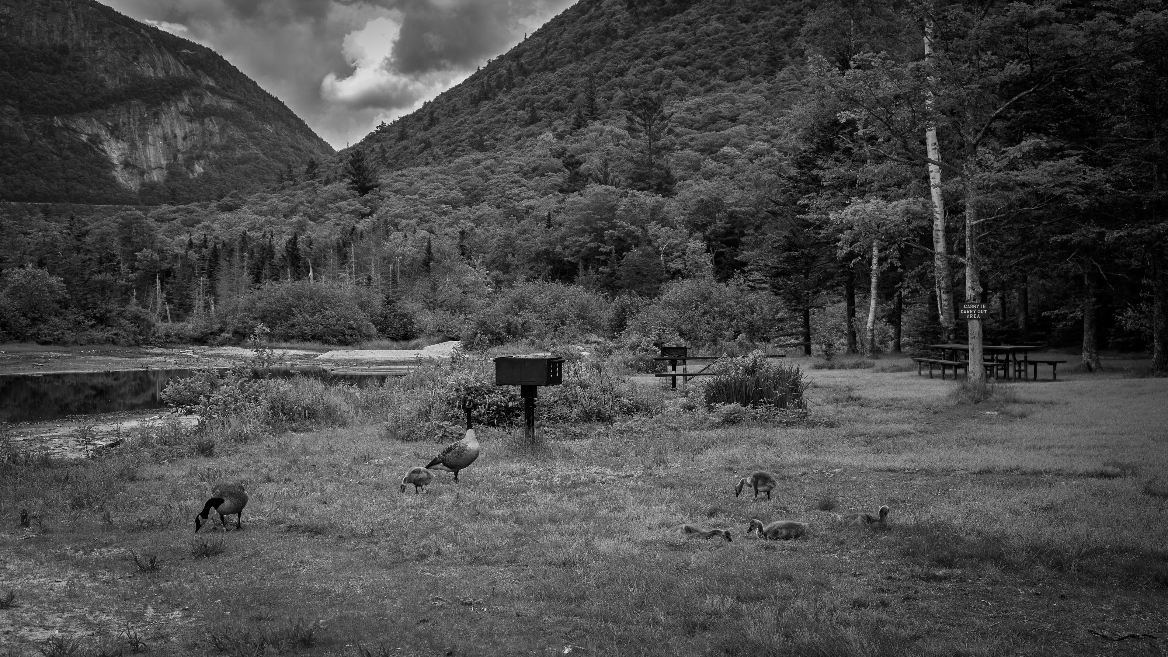 View from Willey Pond - June 15, 2025