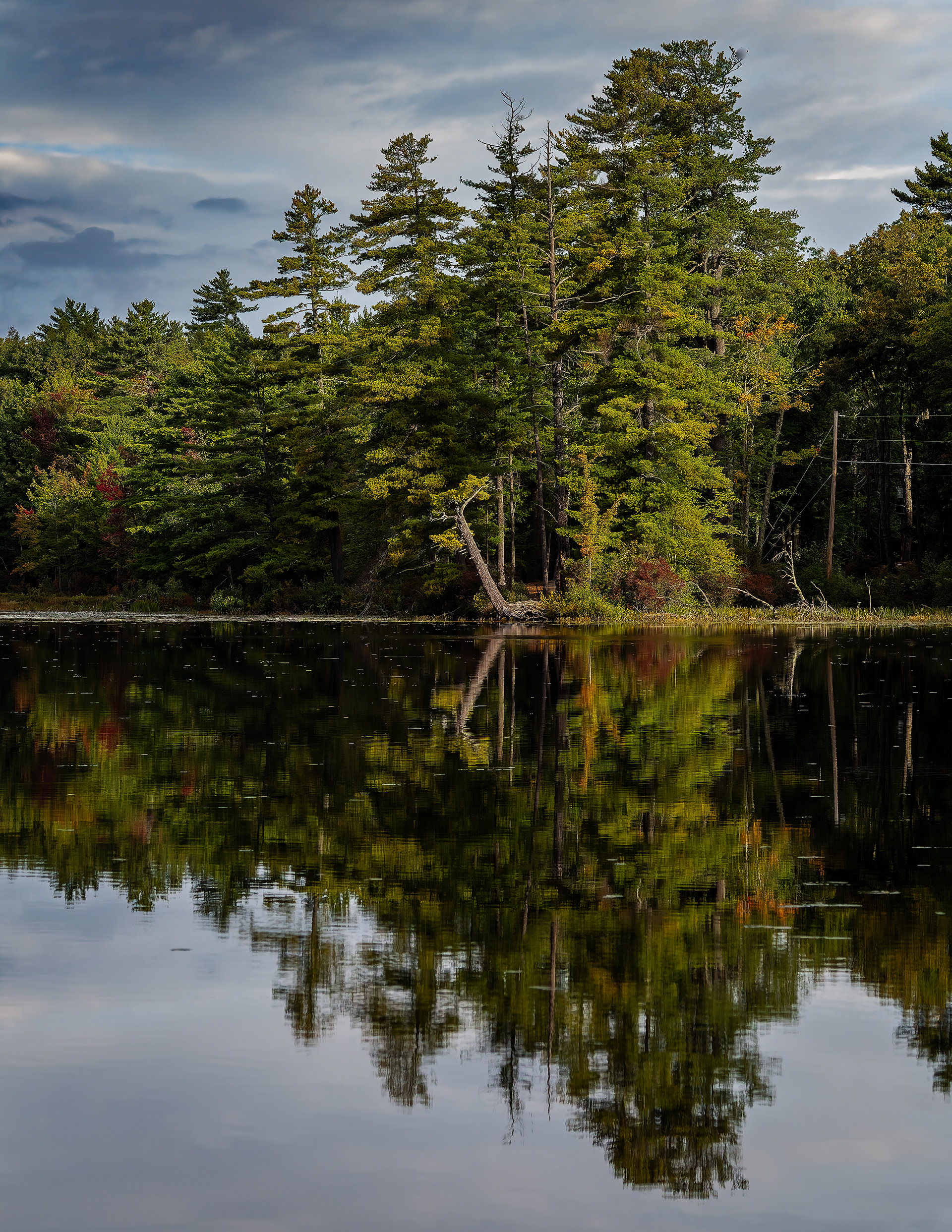 Shellcamp Reflections No7