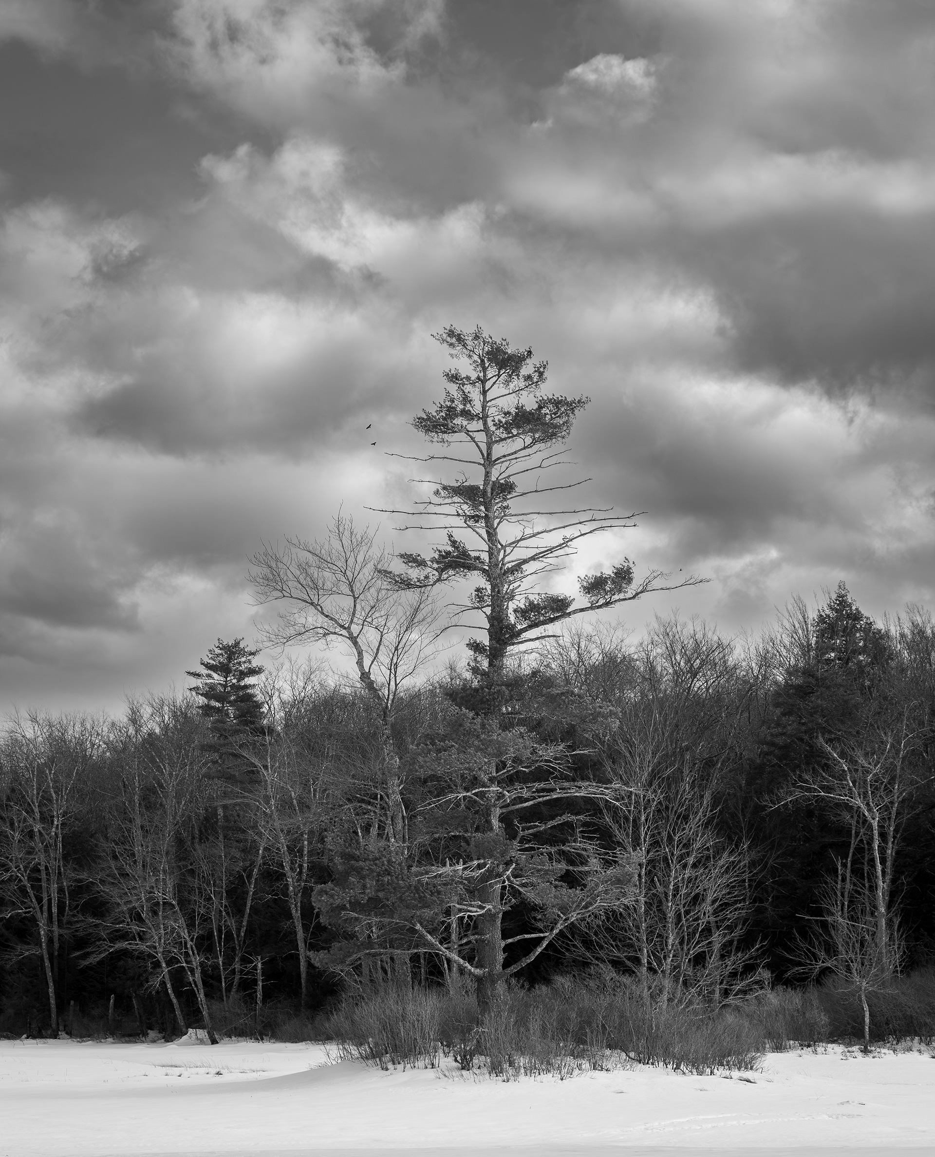 February - Rollins Pond - Gilmanton, NH No9