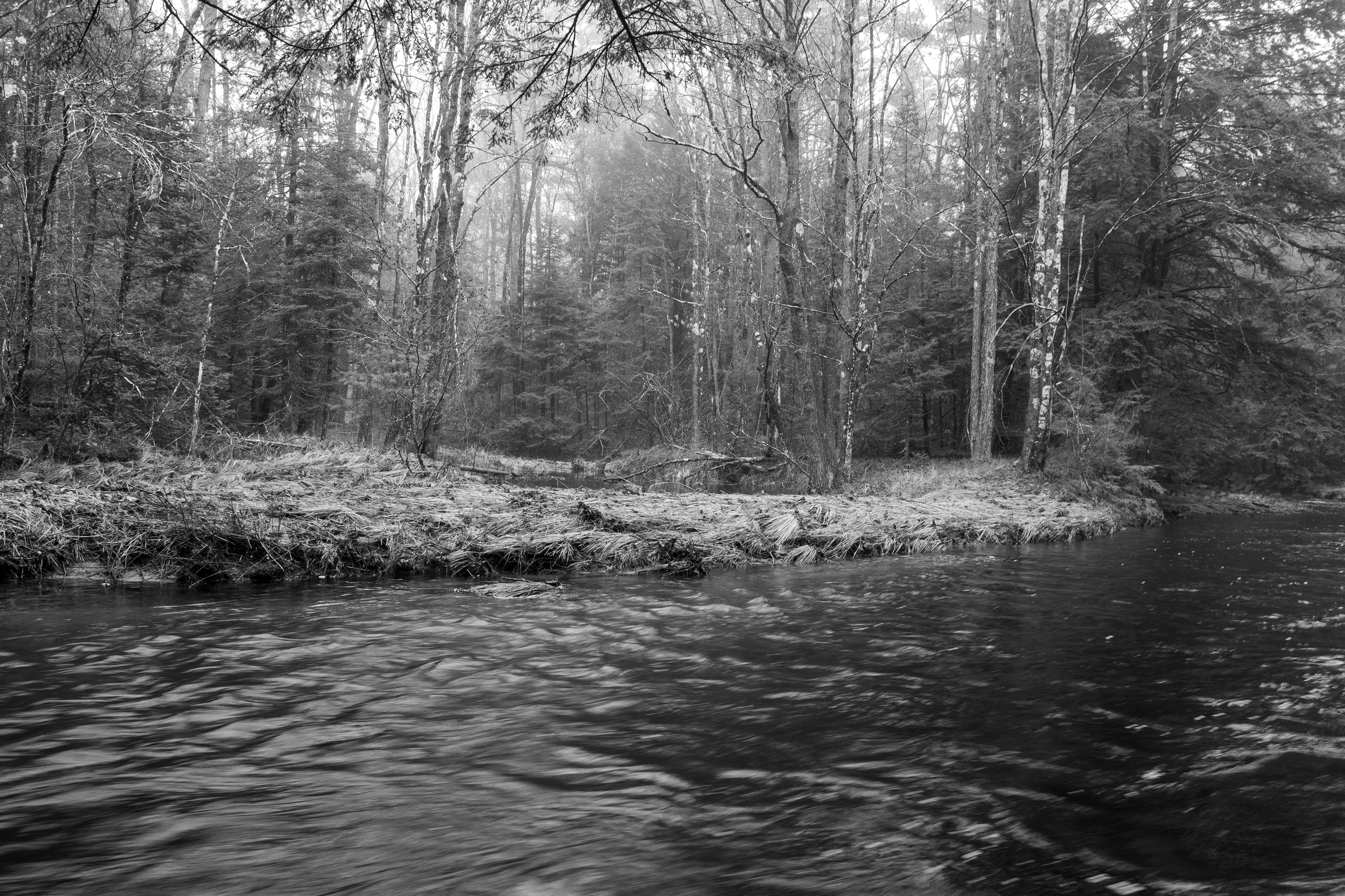 Academy Brook No6