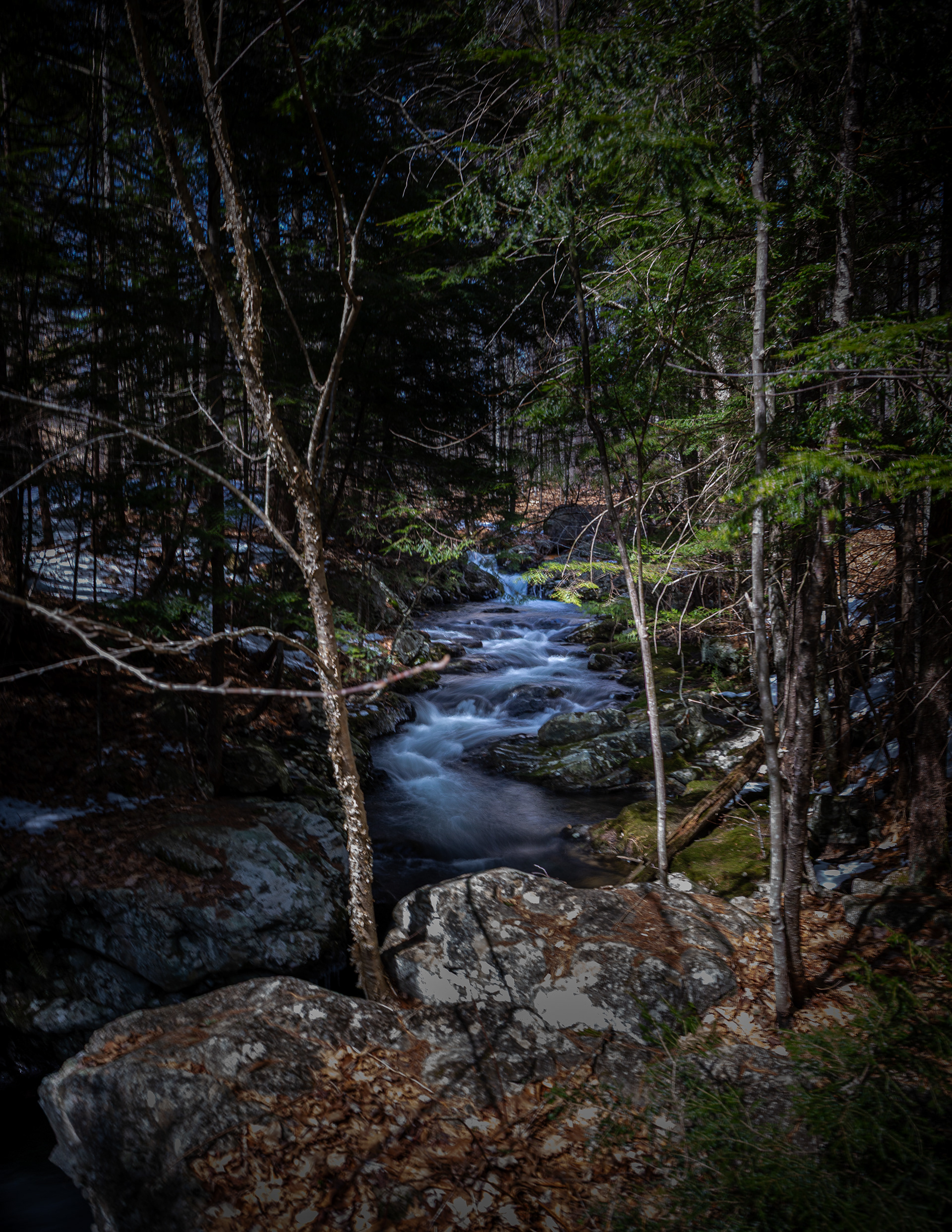Shannon Brook Falls No3