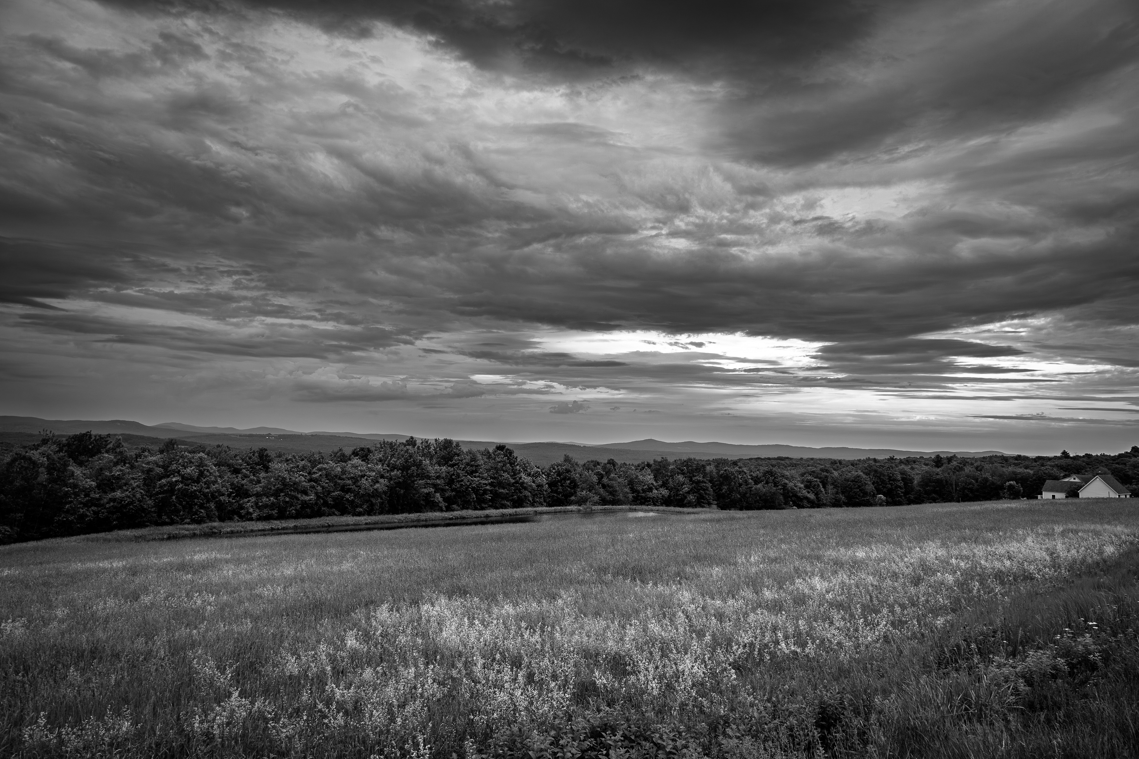 Frisky Hill No1