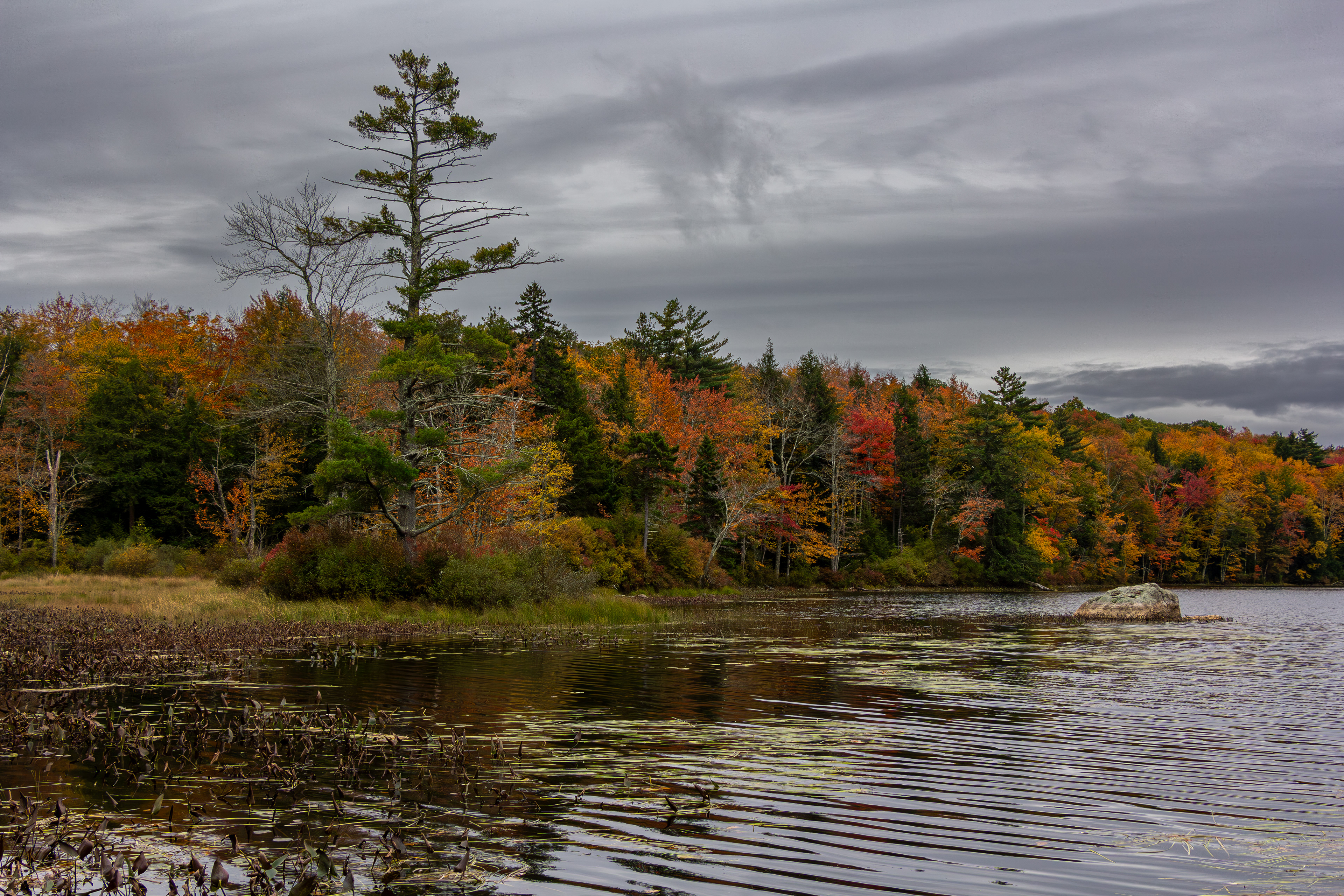 Rollins Pond No18