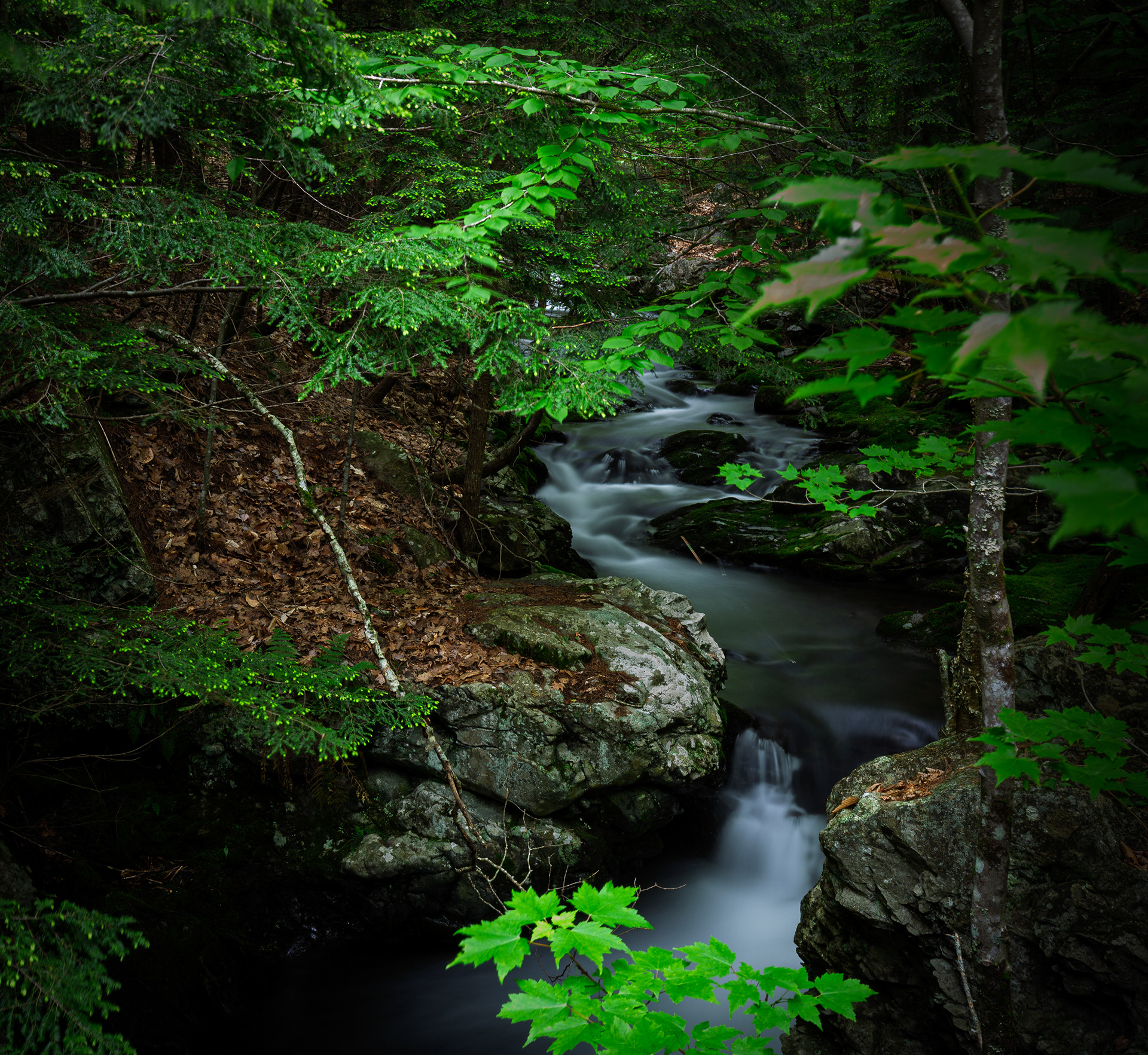 Brook Trail Long Exposure Color