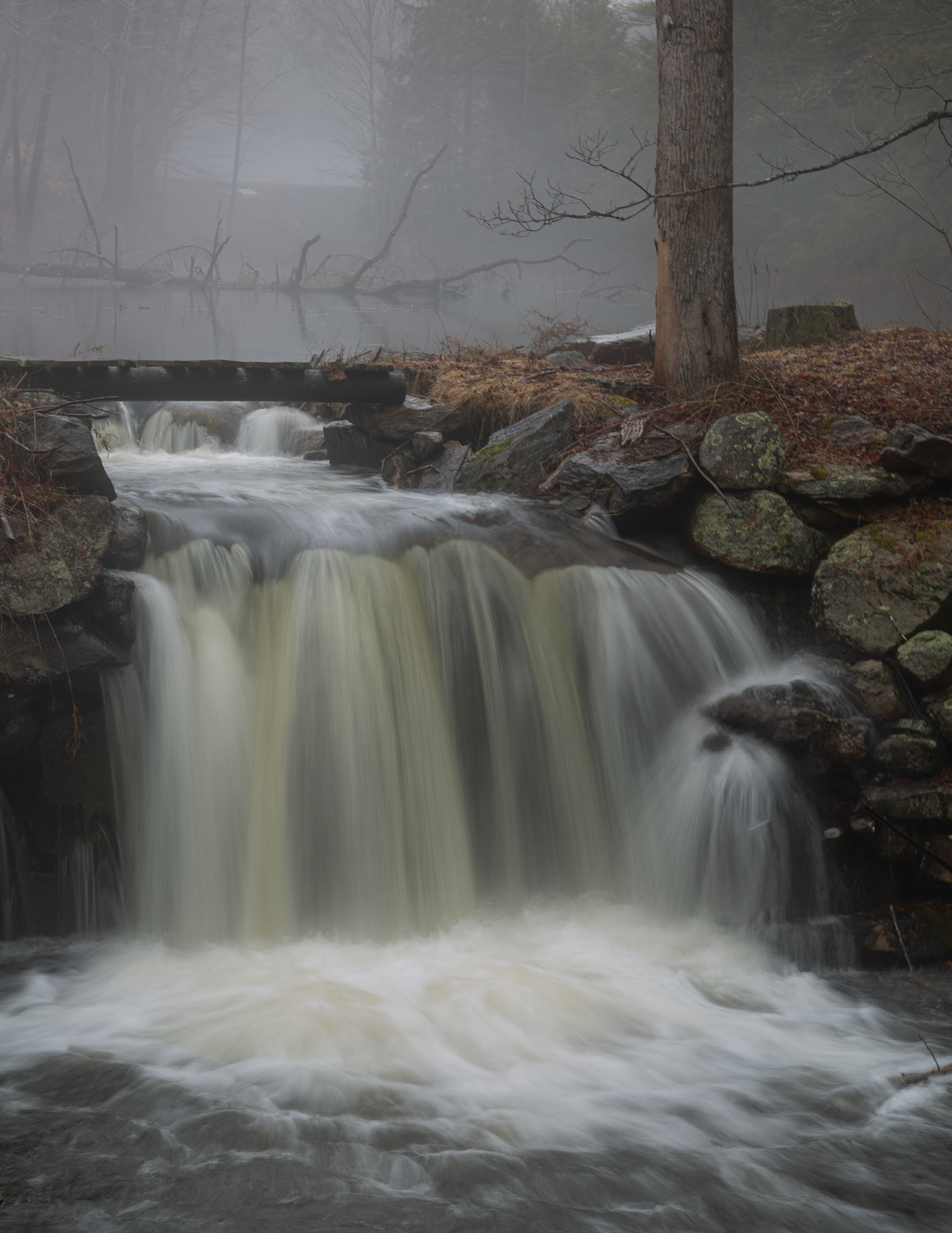 Jones Millhouse Falls - March 17, 2025