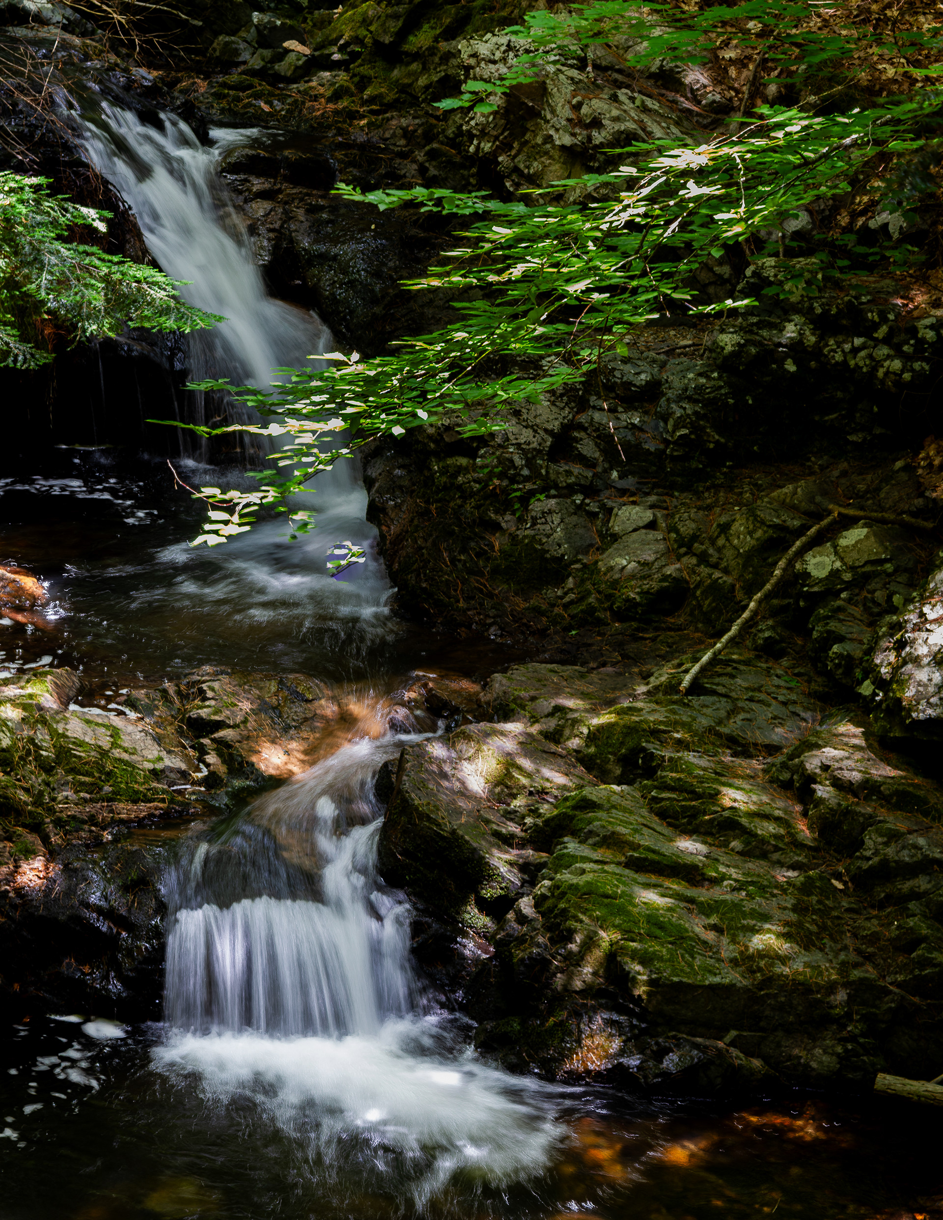 Whittier Falls at CITC in Color