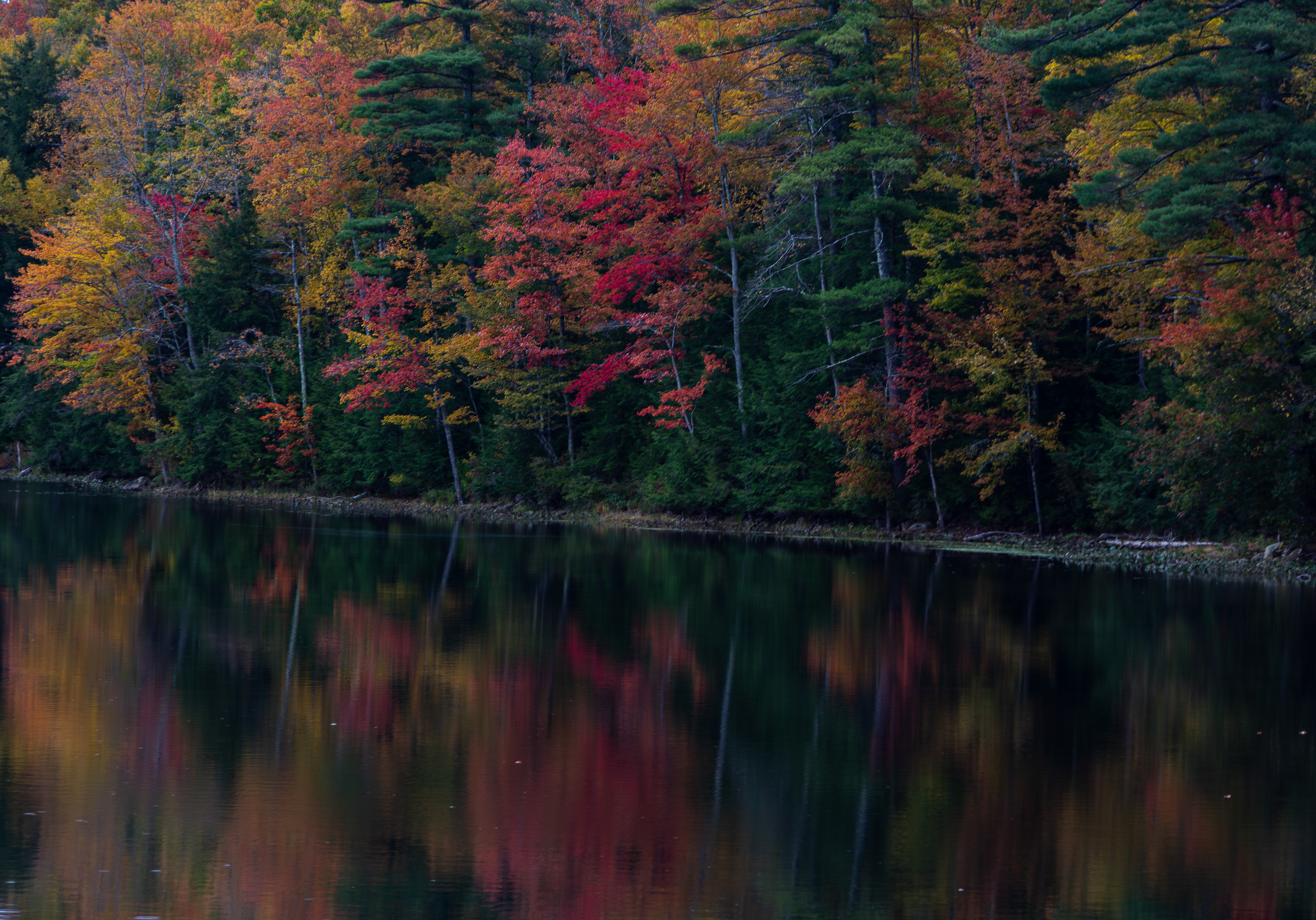 Rollins Pond No1