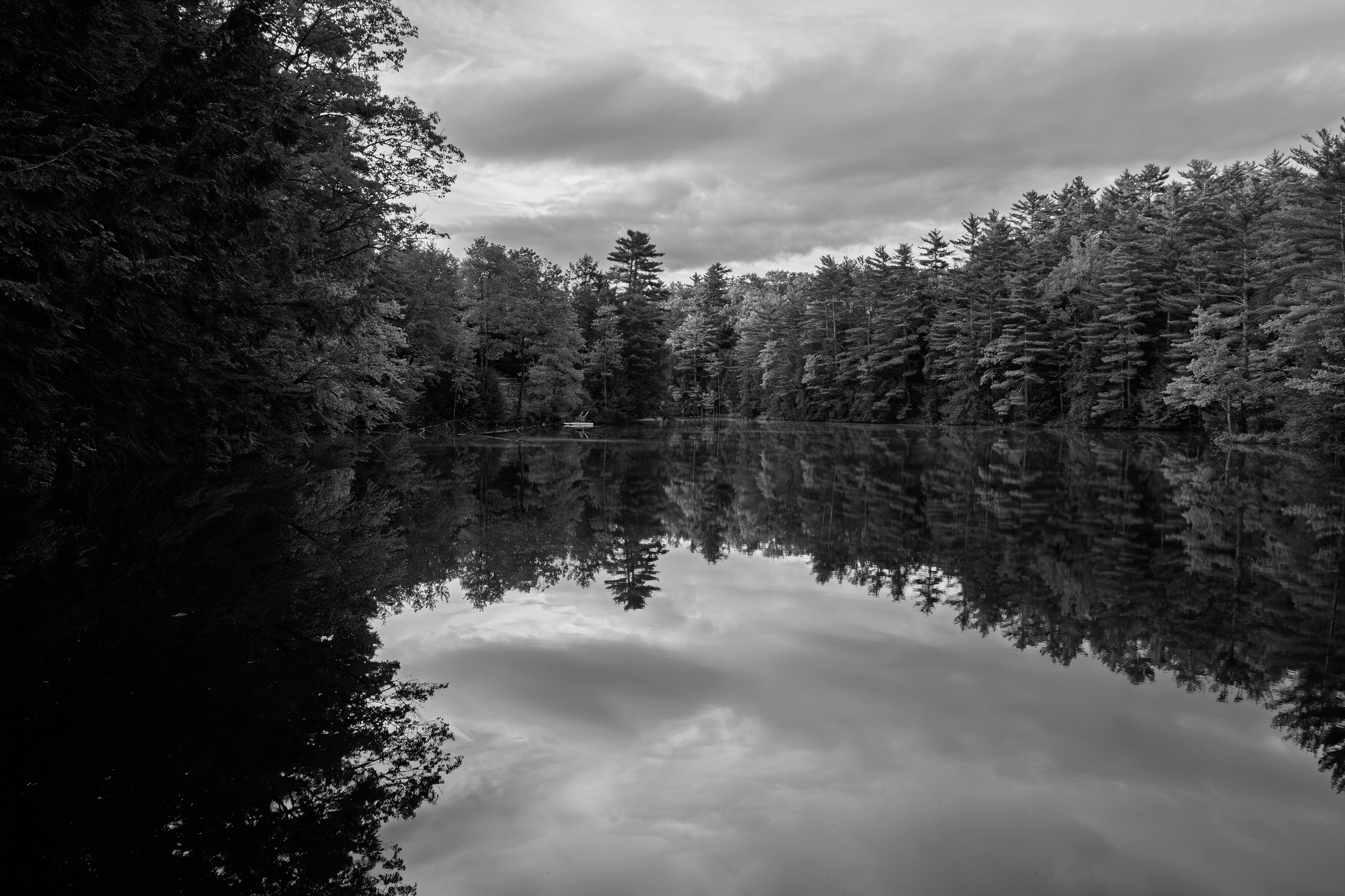 Meadow Pond Reflections No3