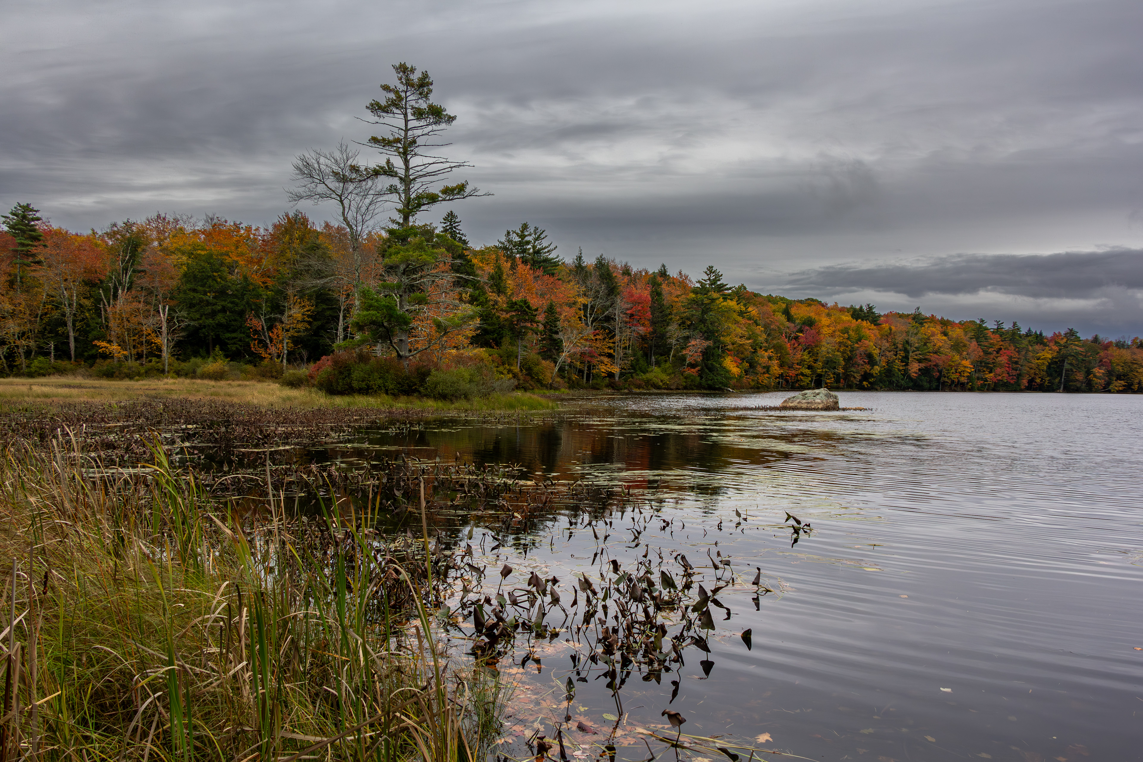 Rollins Pond No14