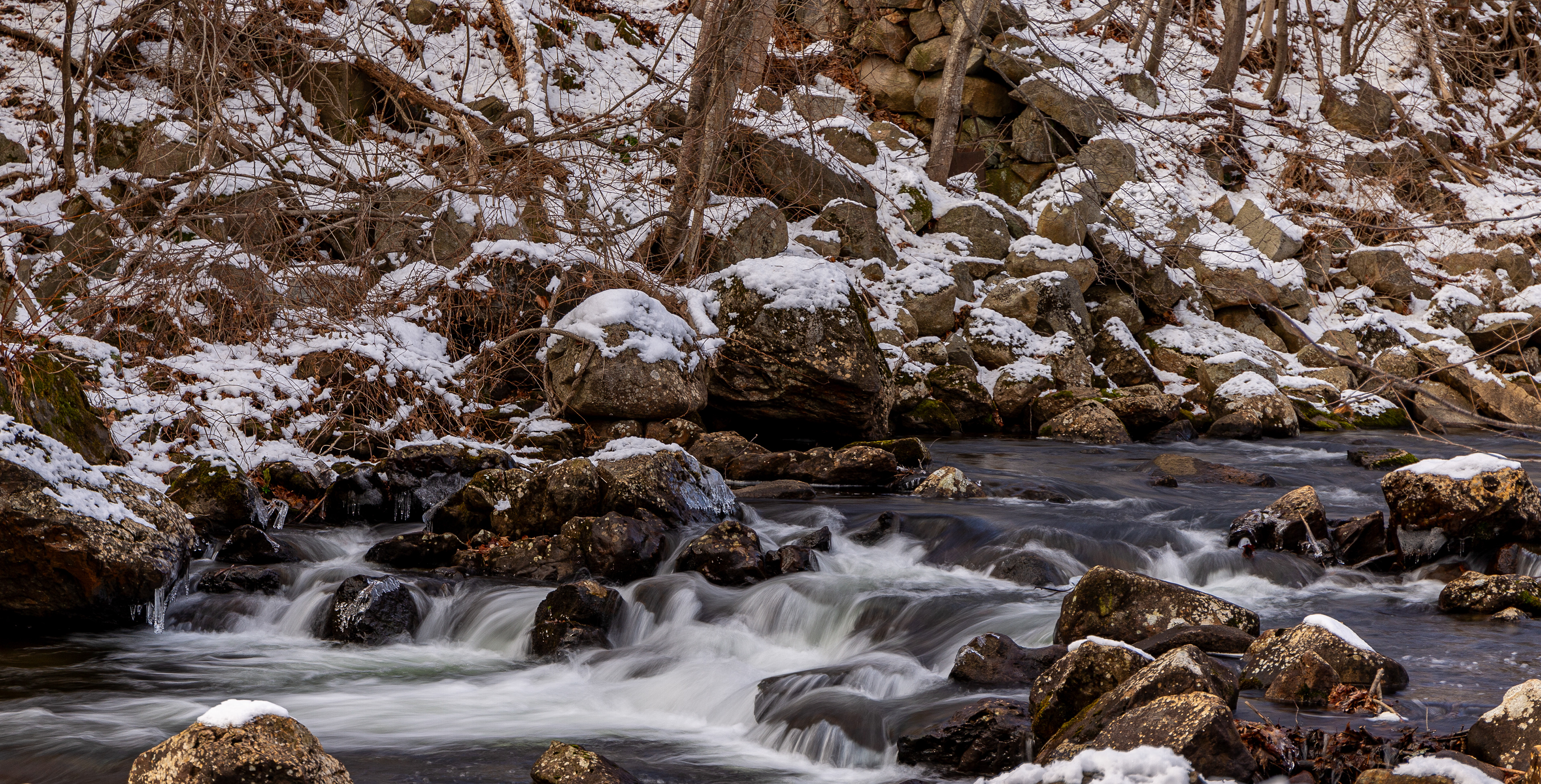Bristol Falls Park 12-3-2024 No16
