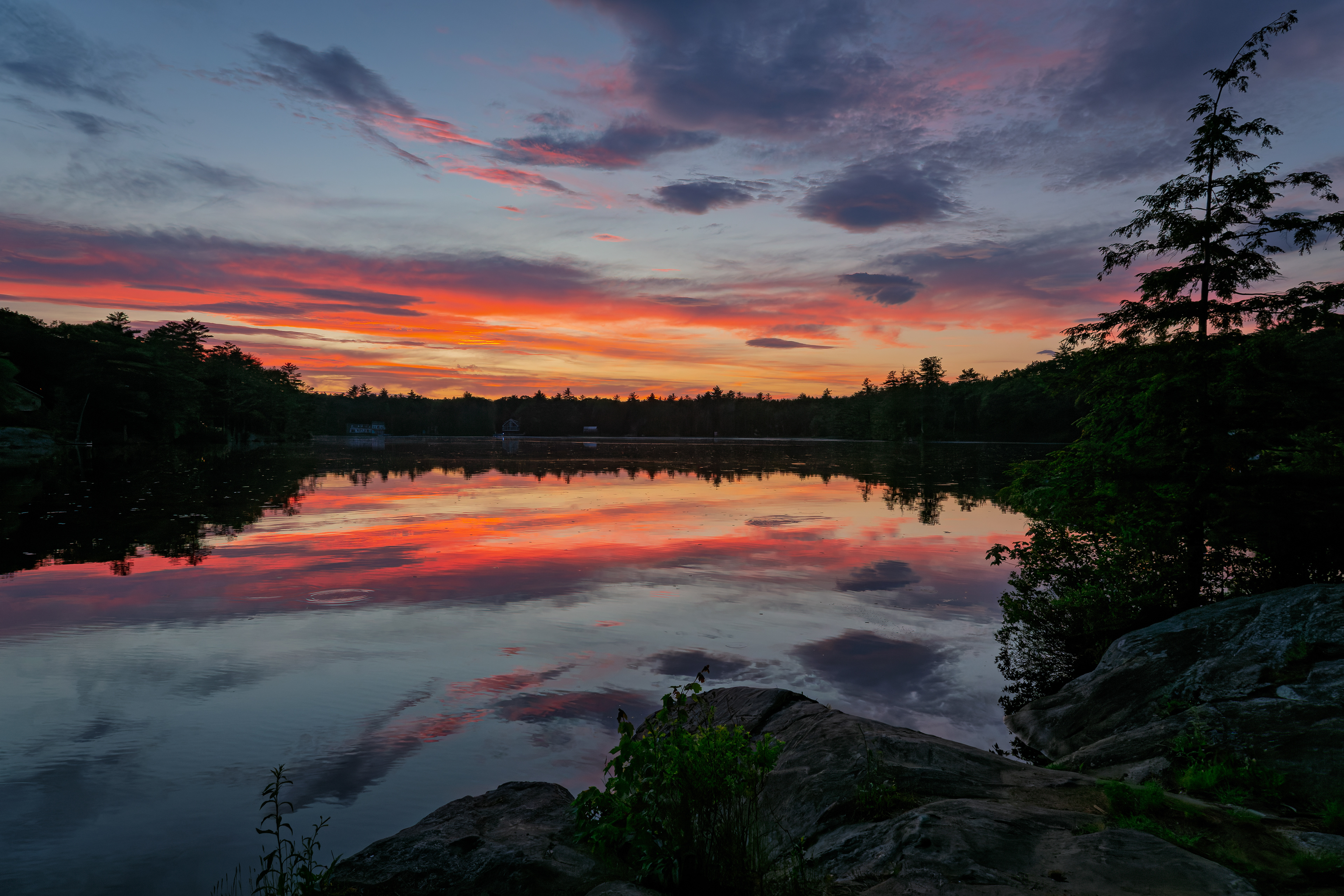 Shellcamp Sunset No31