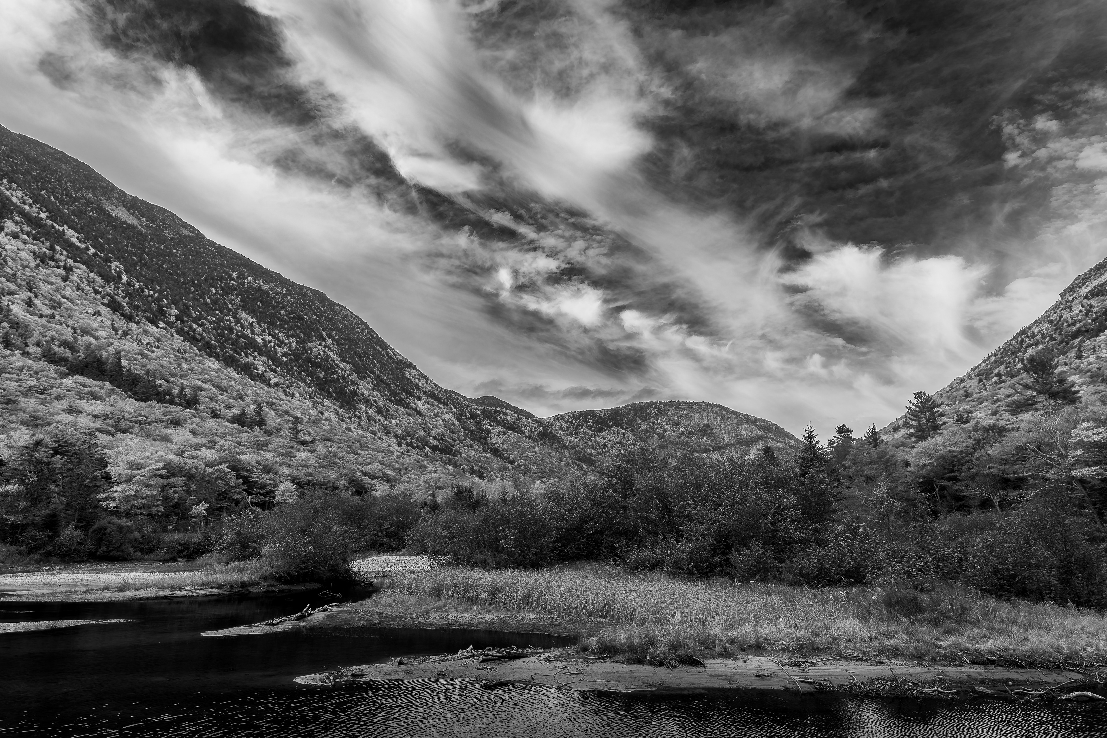 Willey Pond Views No16